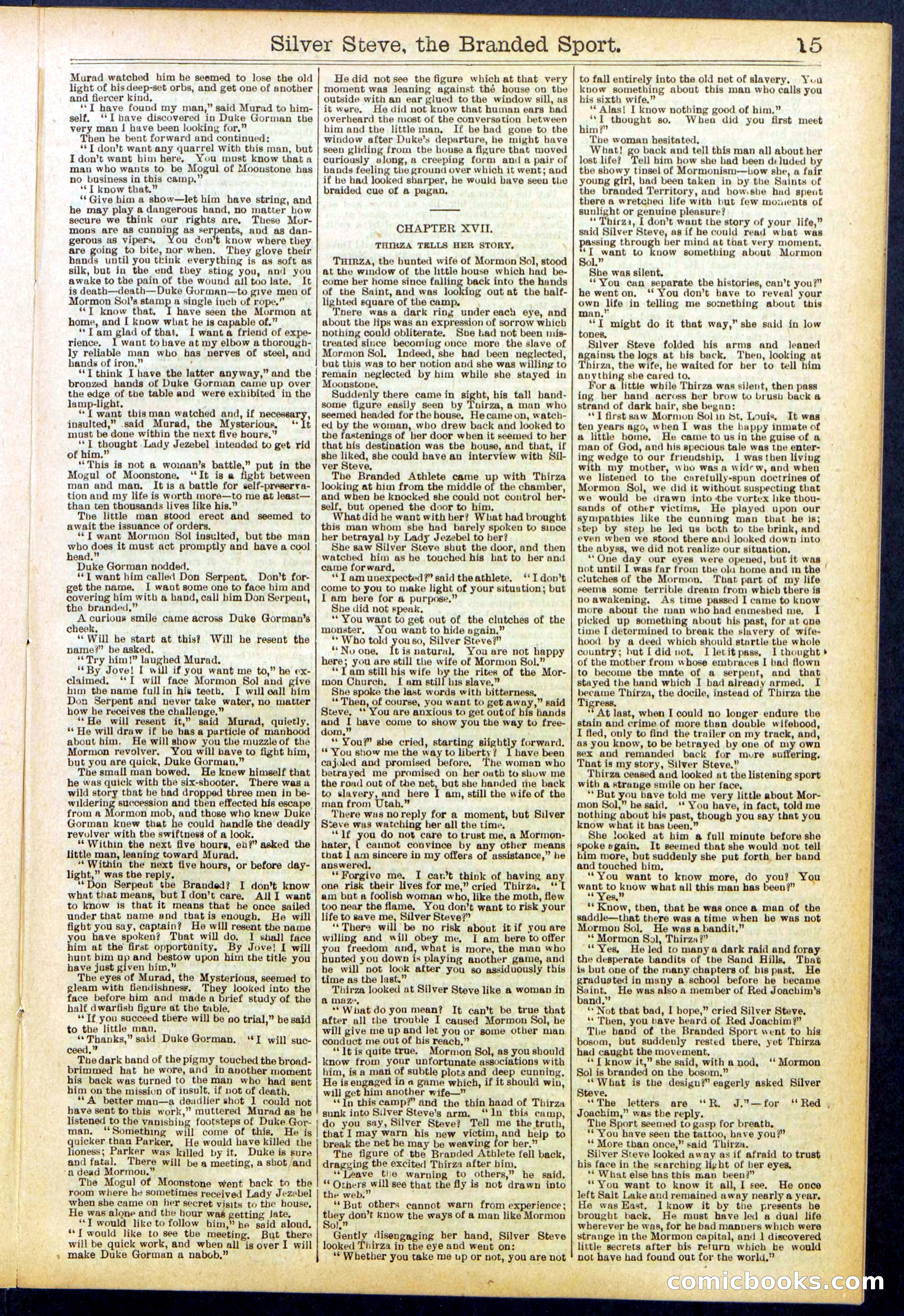 Beadle's New York Dime Library No. 701 — page 15 of 32