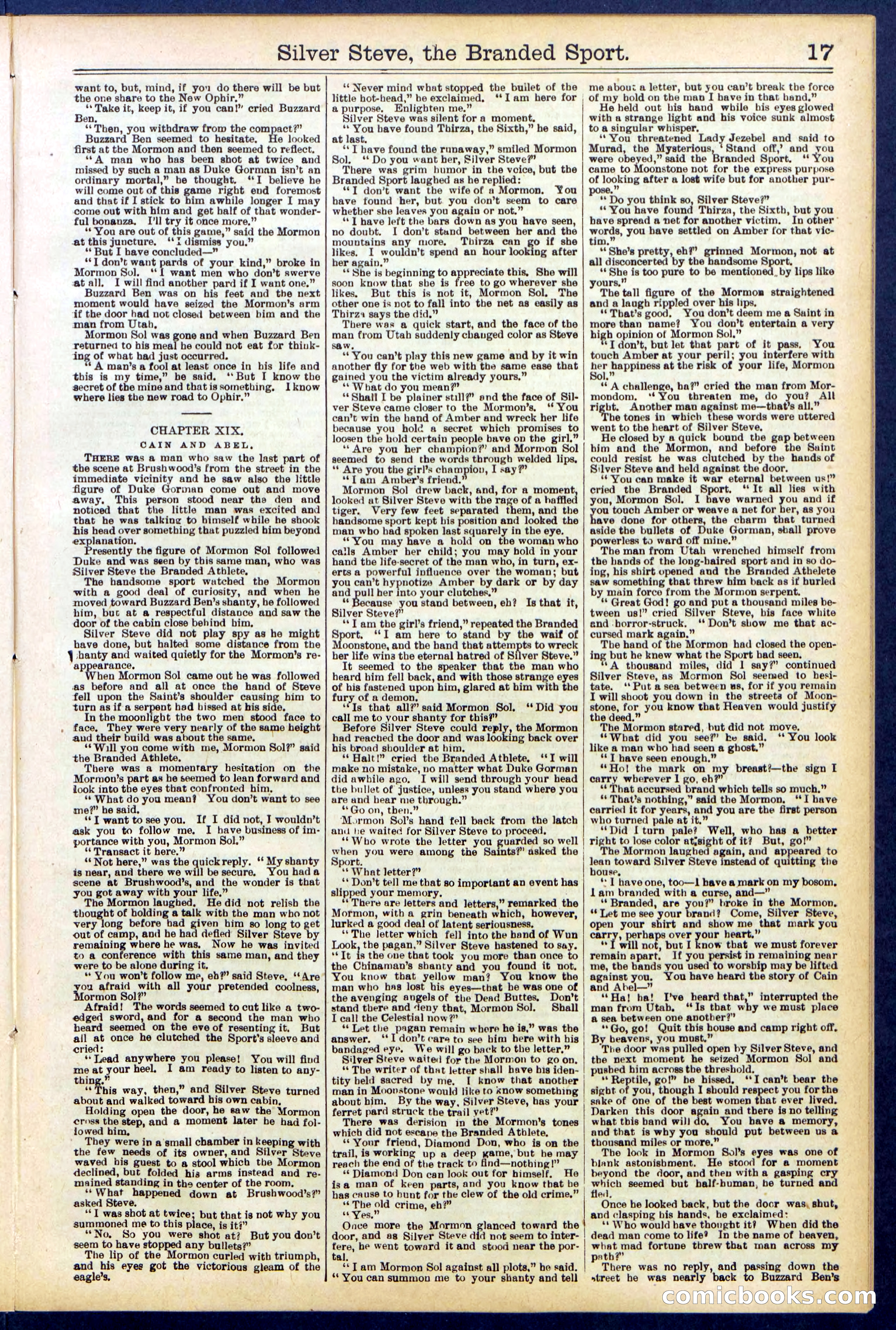 Beadle's New York Dime Library No. 701 — page 17 of 32
