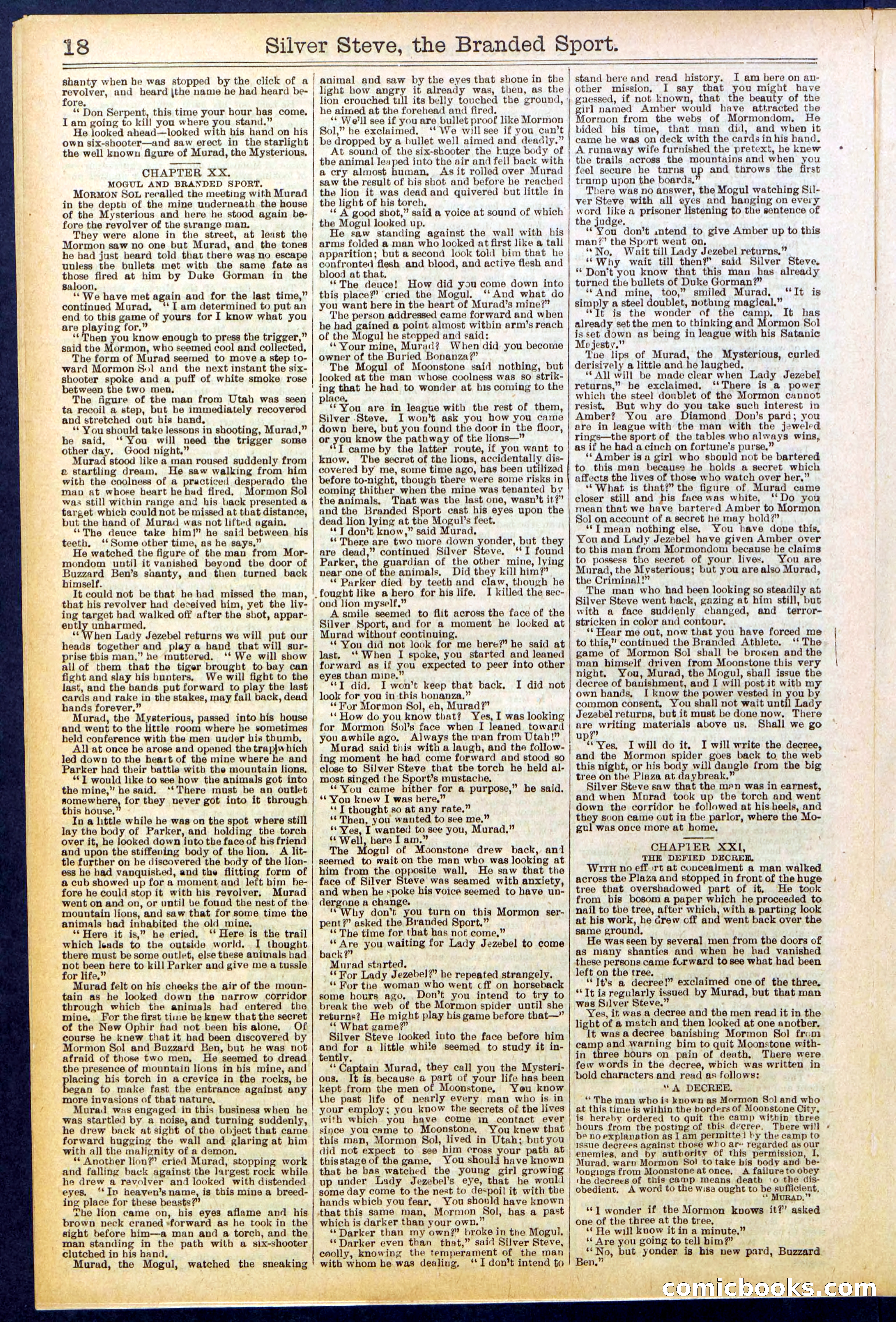 Beadle's New York Dime Library No. 701 — page 18 of 32