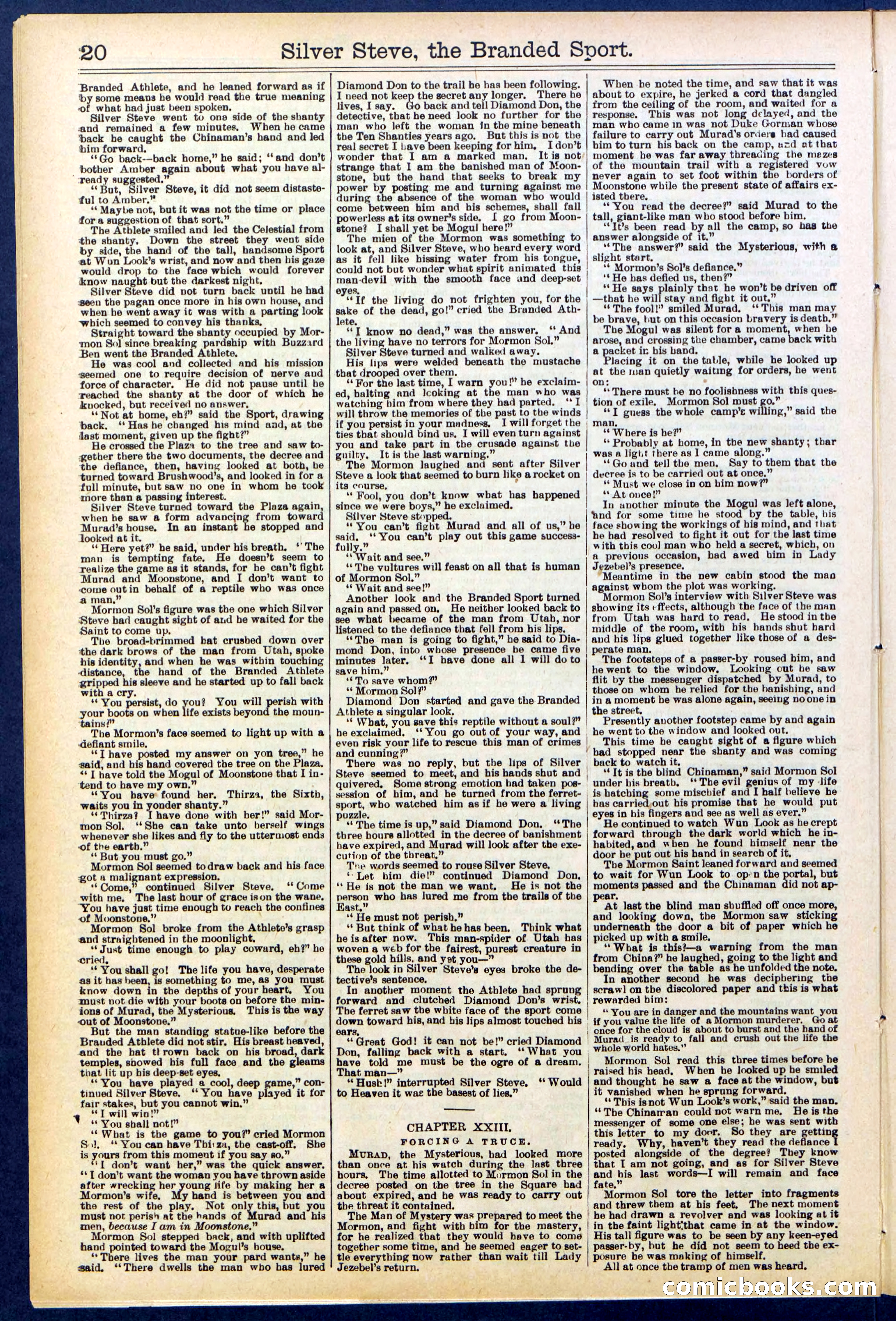 Beadle's New York Dime Library No. 701 — page 20 of 32