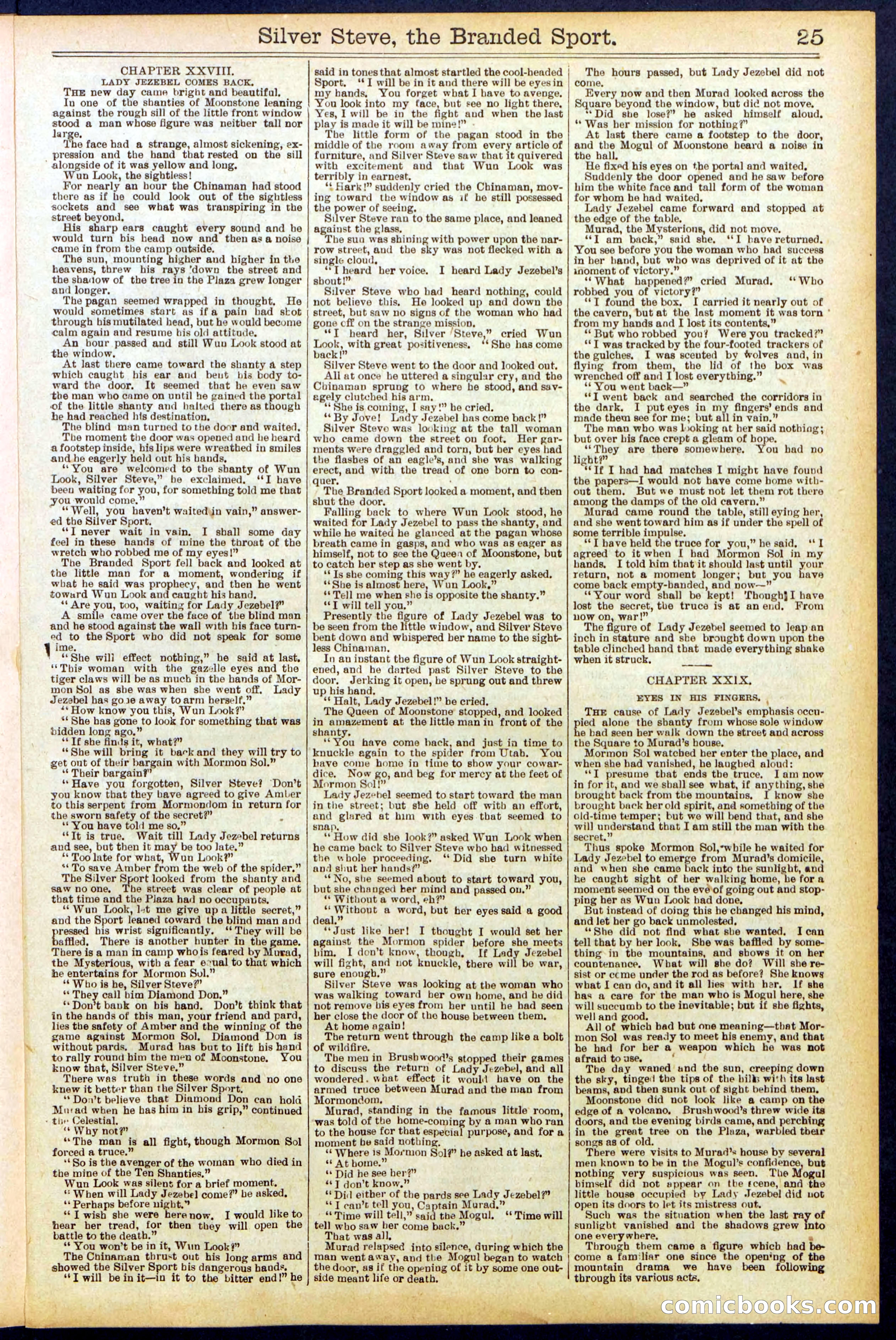 Beadle's New York Dime Library No. 701 — page 25 of 32