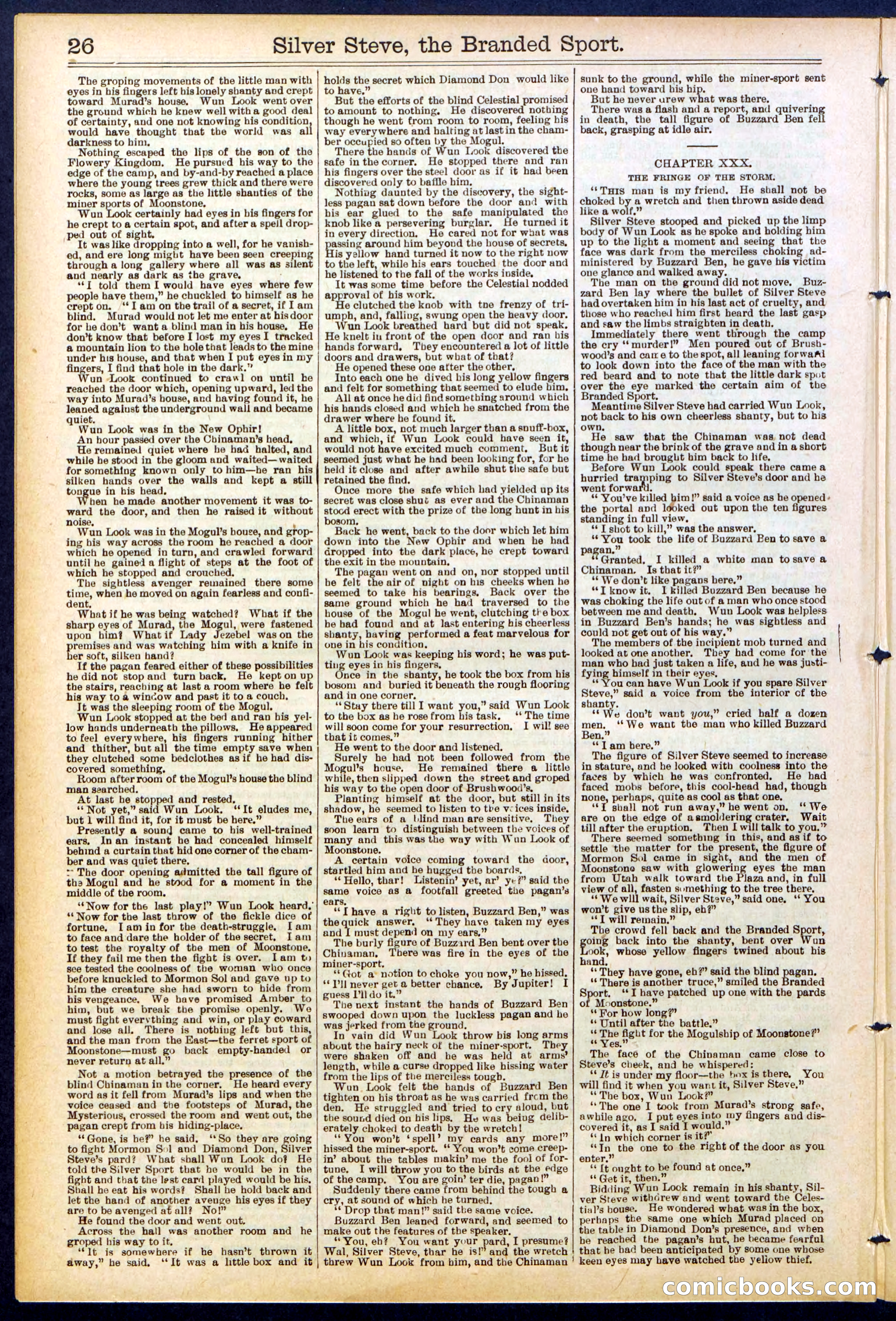 Beadle's New York Dime Library No. 701 — page 26 of 32