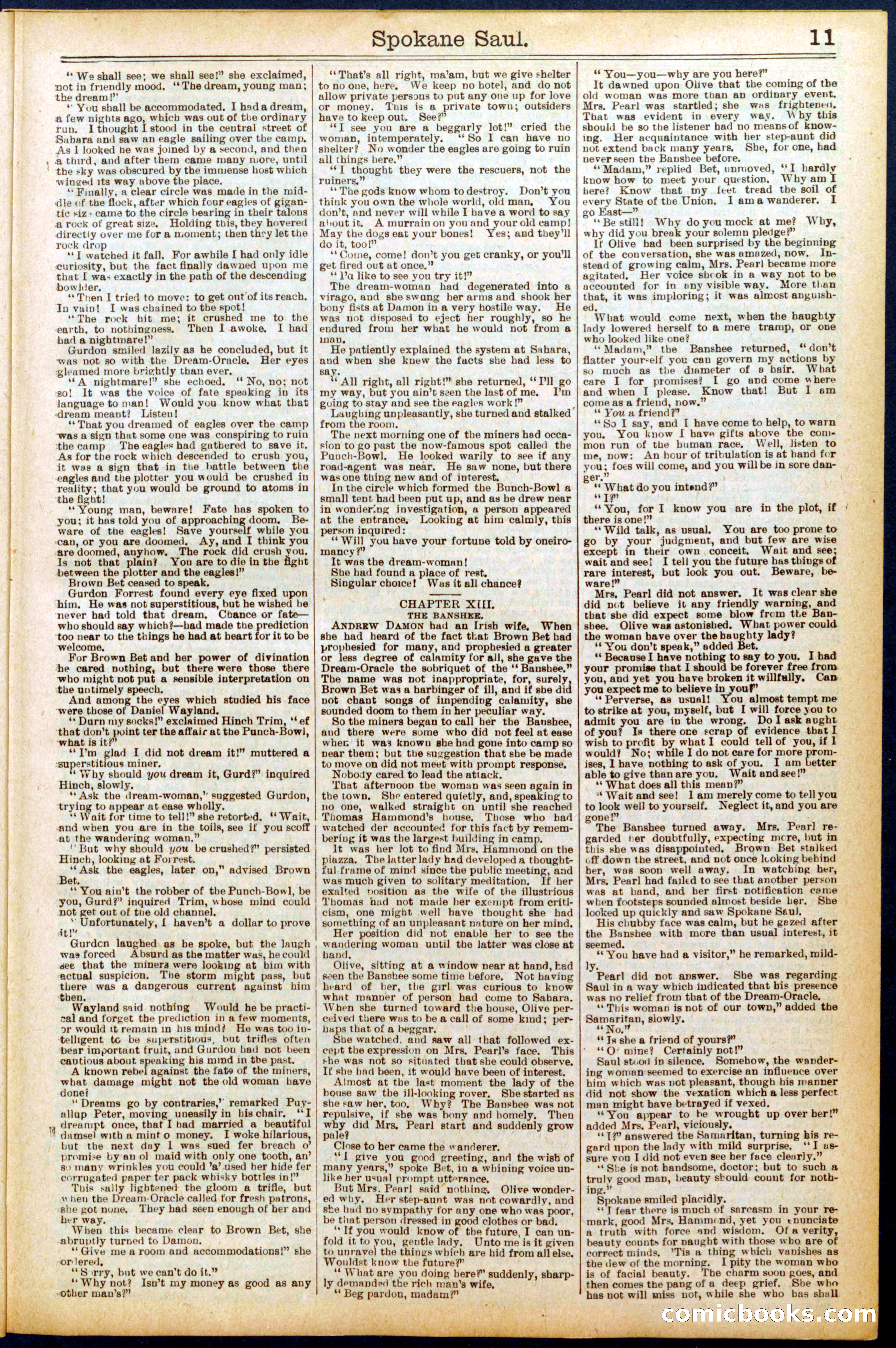 Beadle's New York Dime Library No. 703 — page 11 of 32
