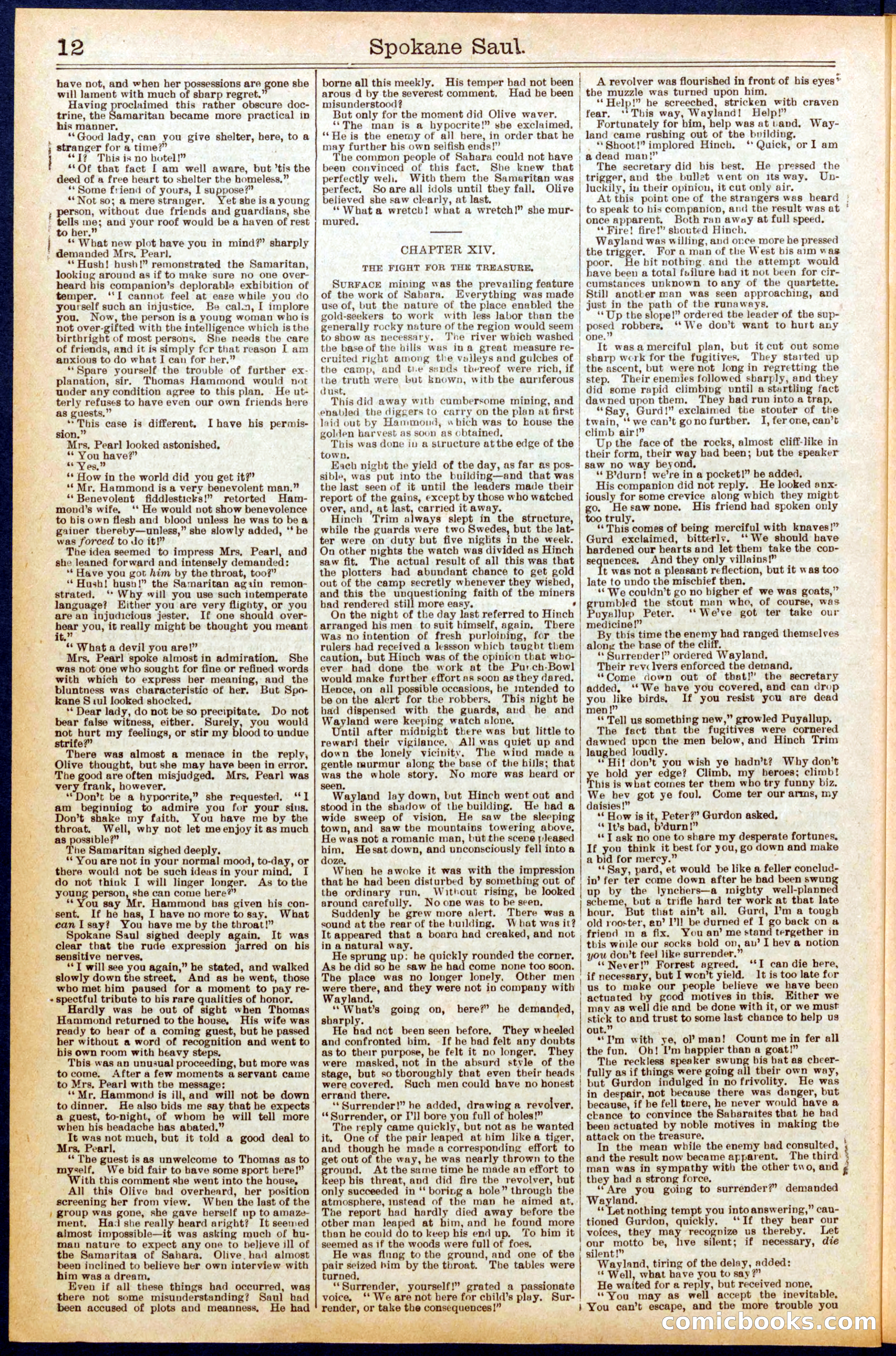 Beadle's New York Dime Library No. 703 — page 12 of 32