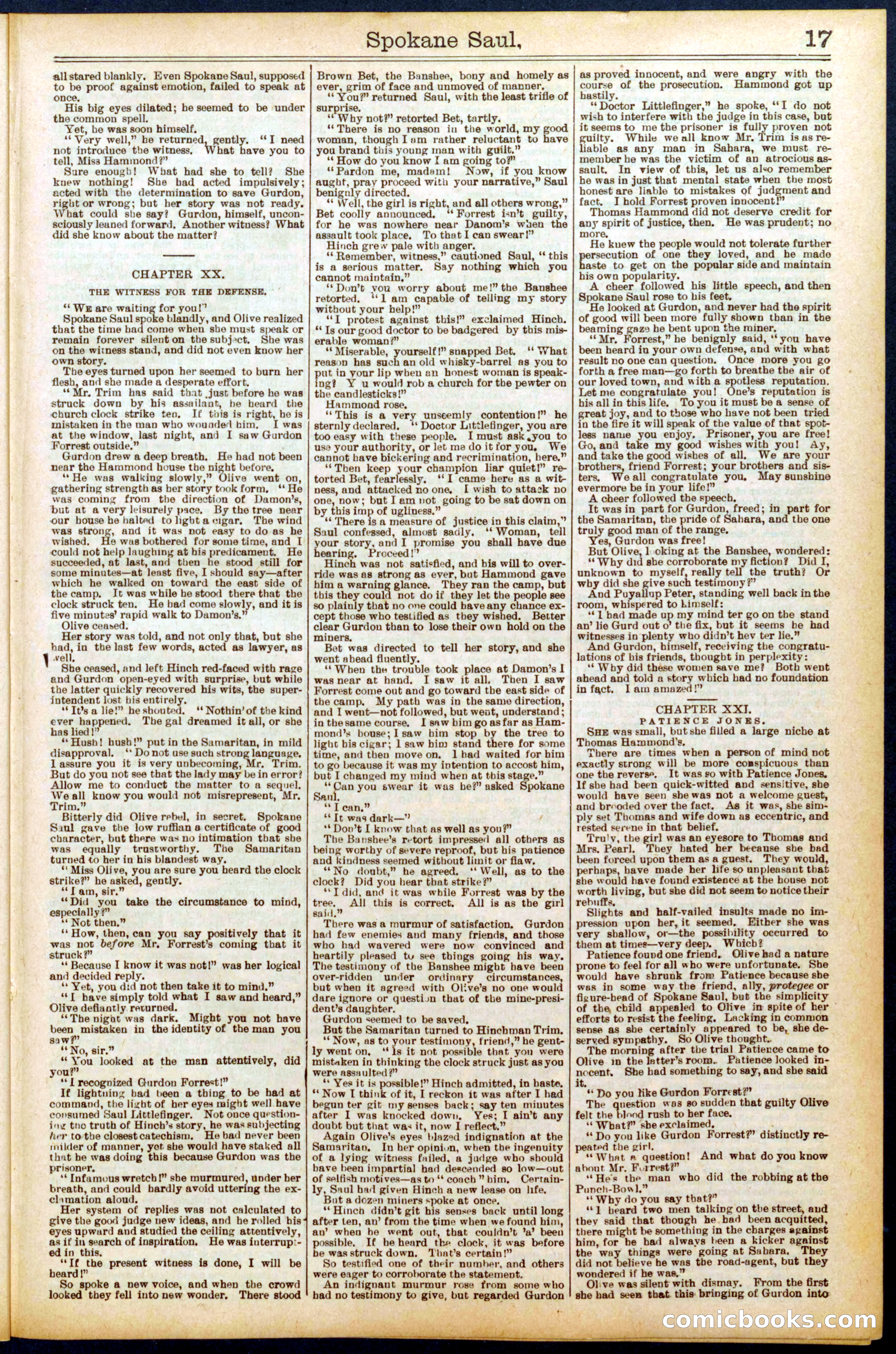 Beadle's New York Dime Library No. 703 — page 17 of 32