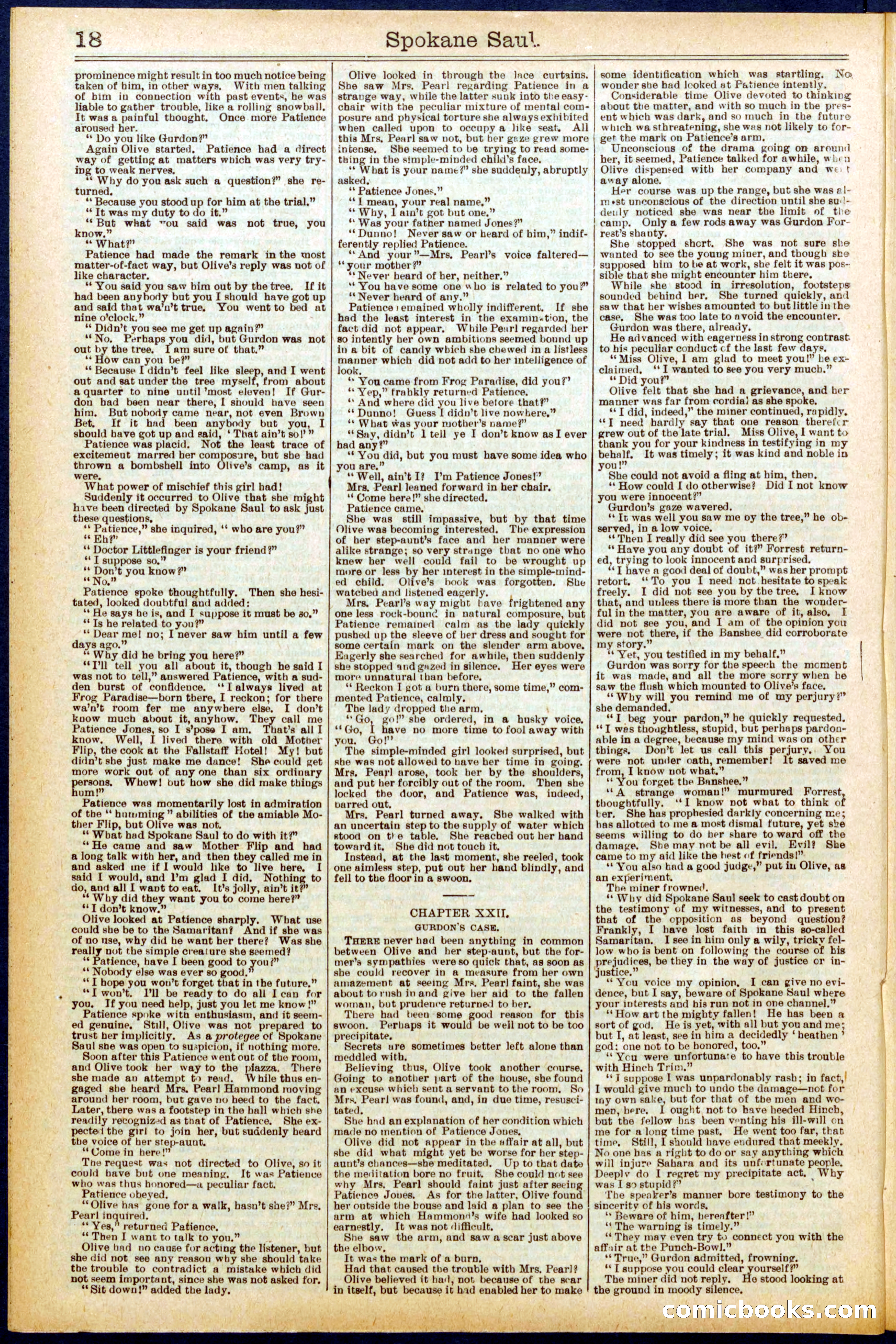 Beadle's New York Dime Library No. 703 — page 18 of 32
