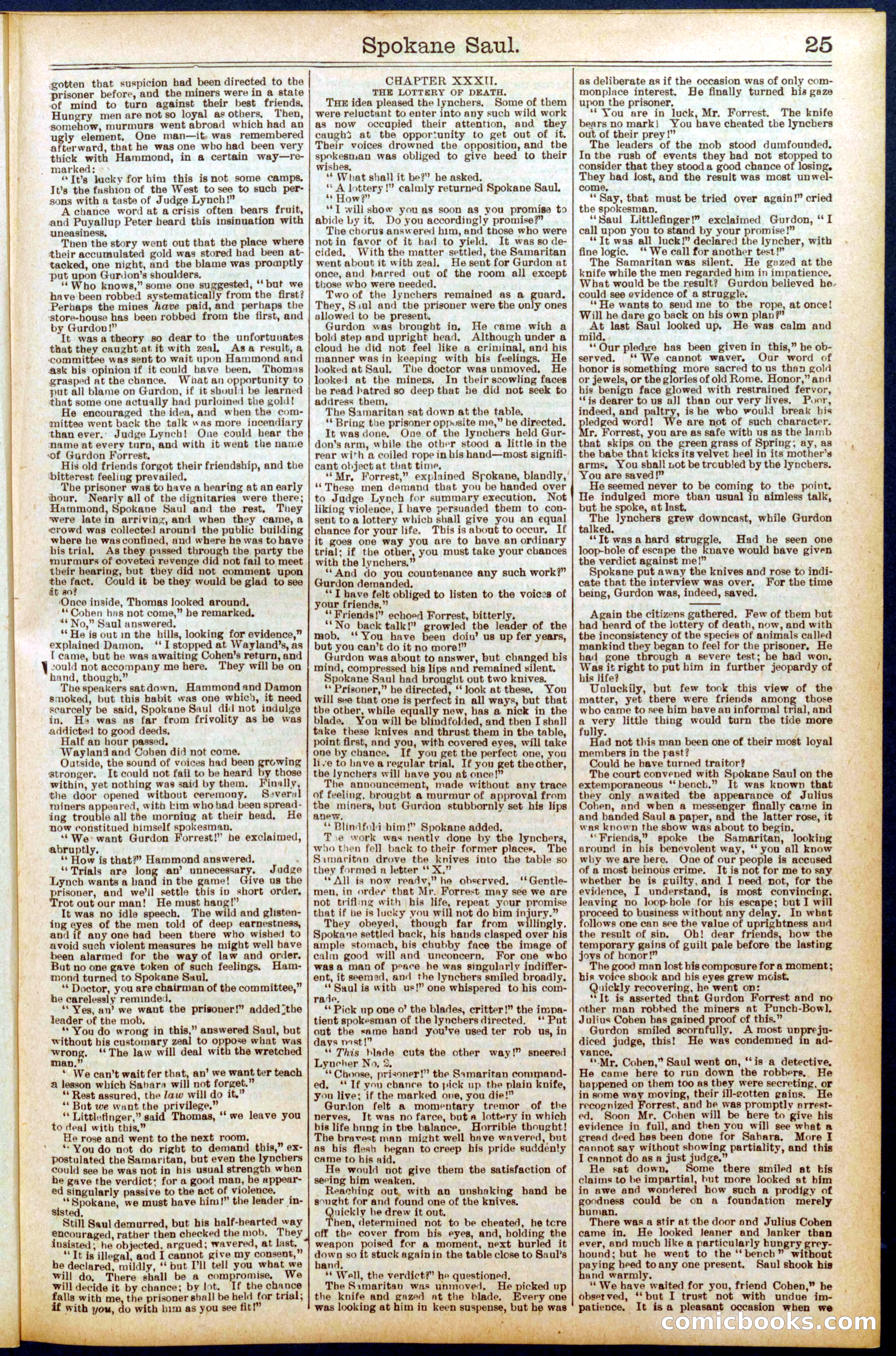 Beadle's New York Dime Library No. 703 — page 25 of 32