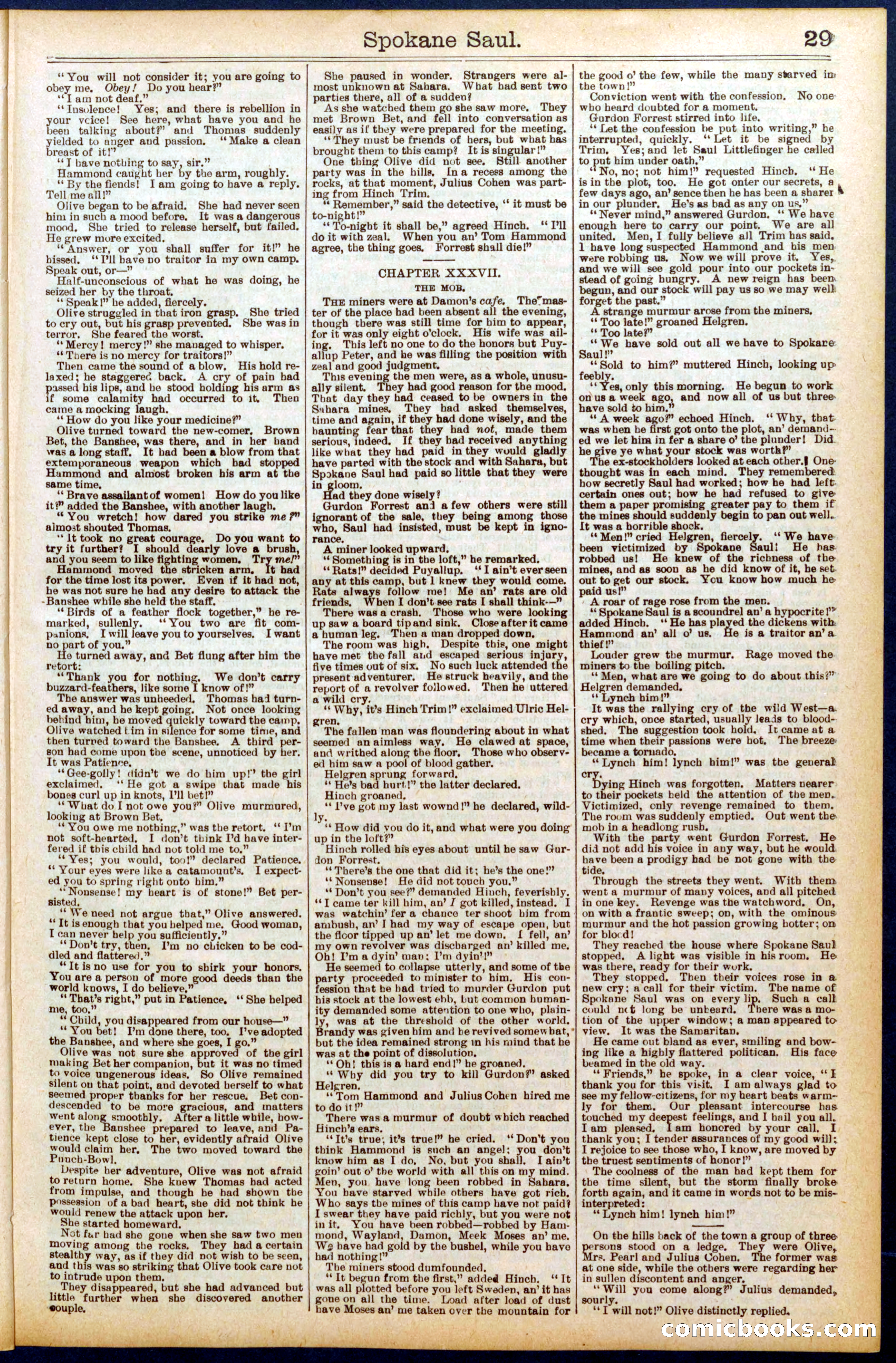Beadle's New York Dime Library No. 703 — page 29 of 32
