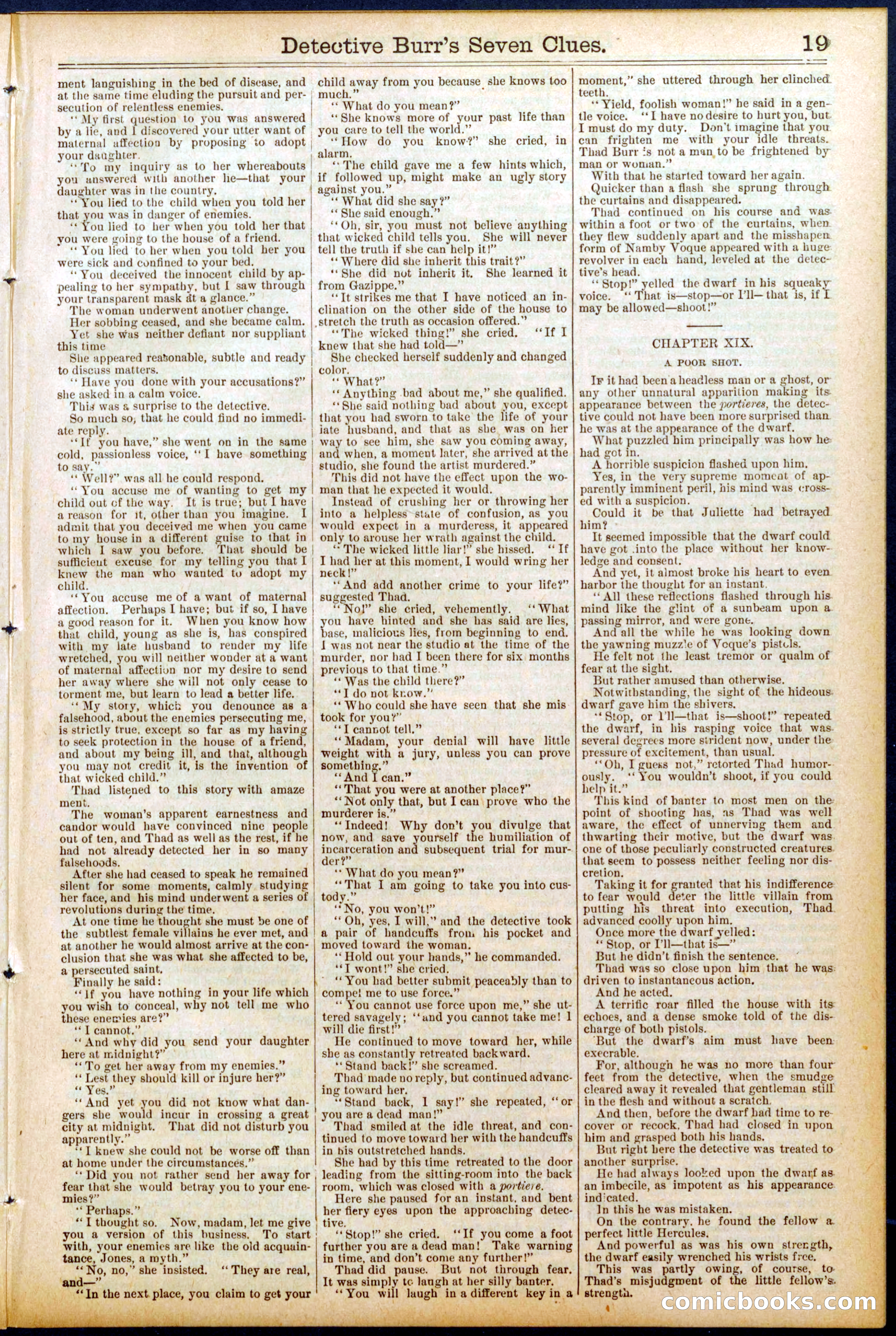 Beadle's New York Dime Library No. 706 — page 19 of 32