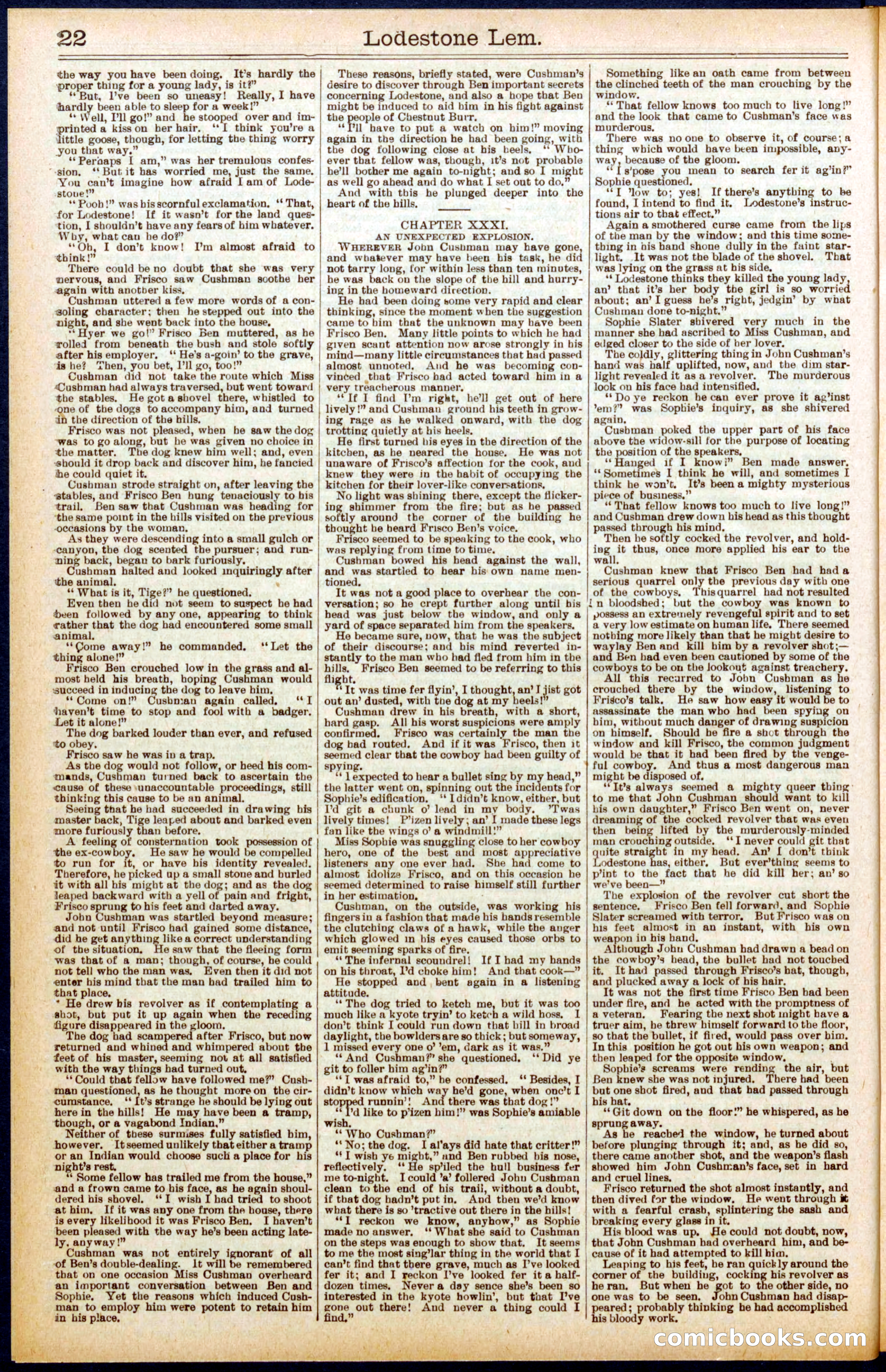 Beadle's Dime Library No. 709 — page 22 of 32
