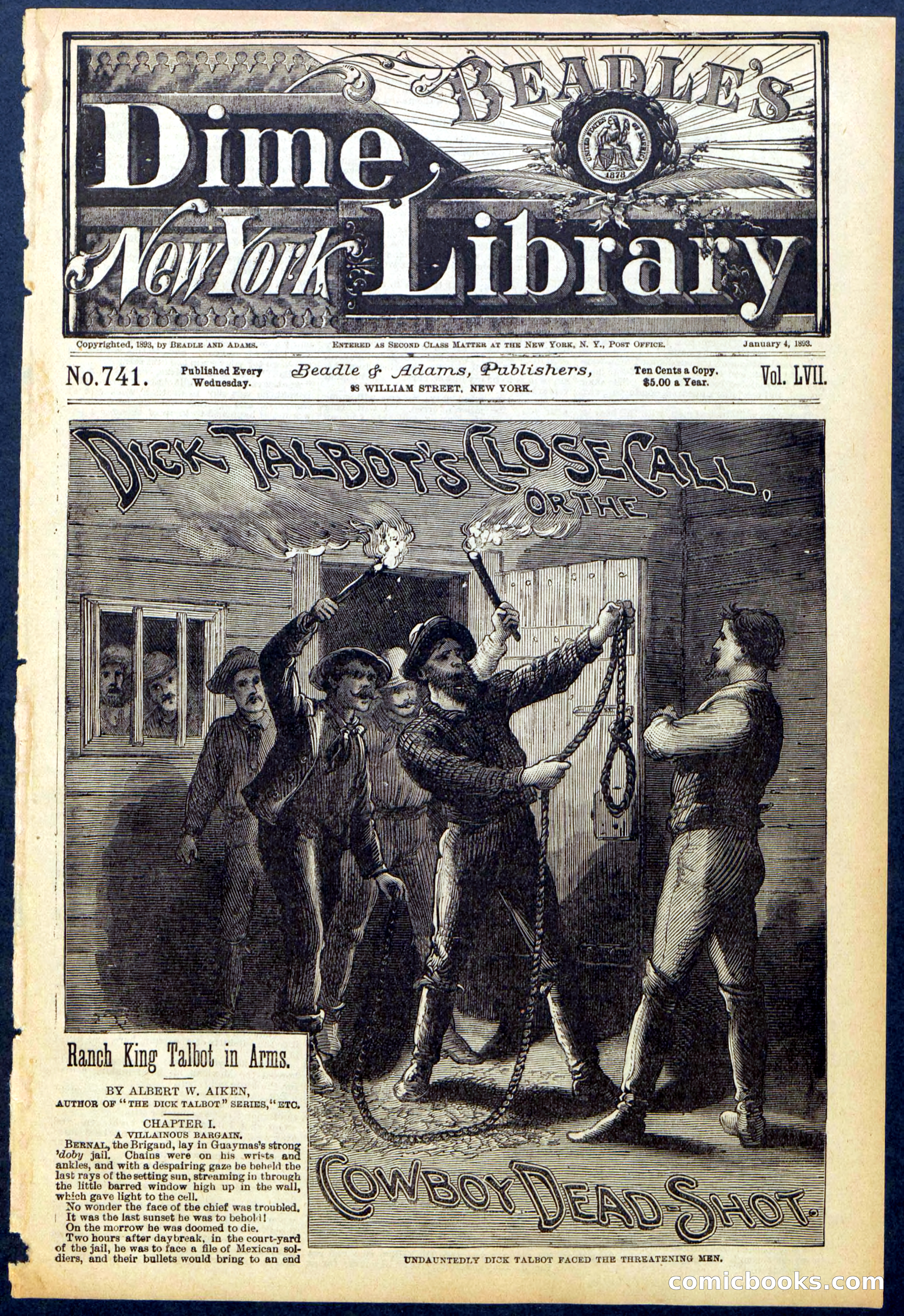 Beadle's New York Dime Library No. 741 — page 1 of 32
