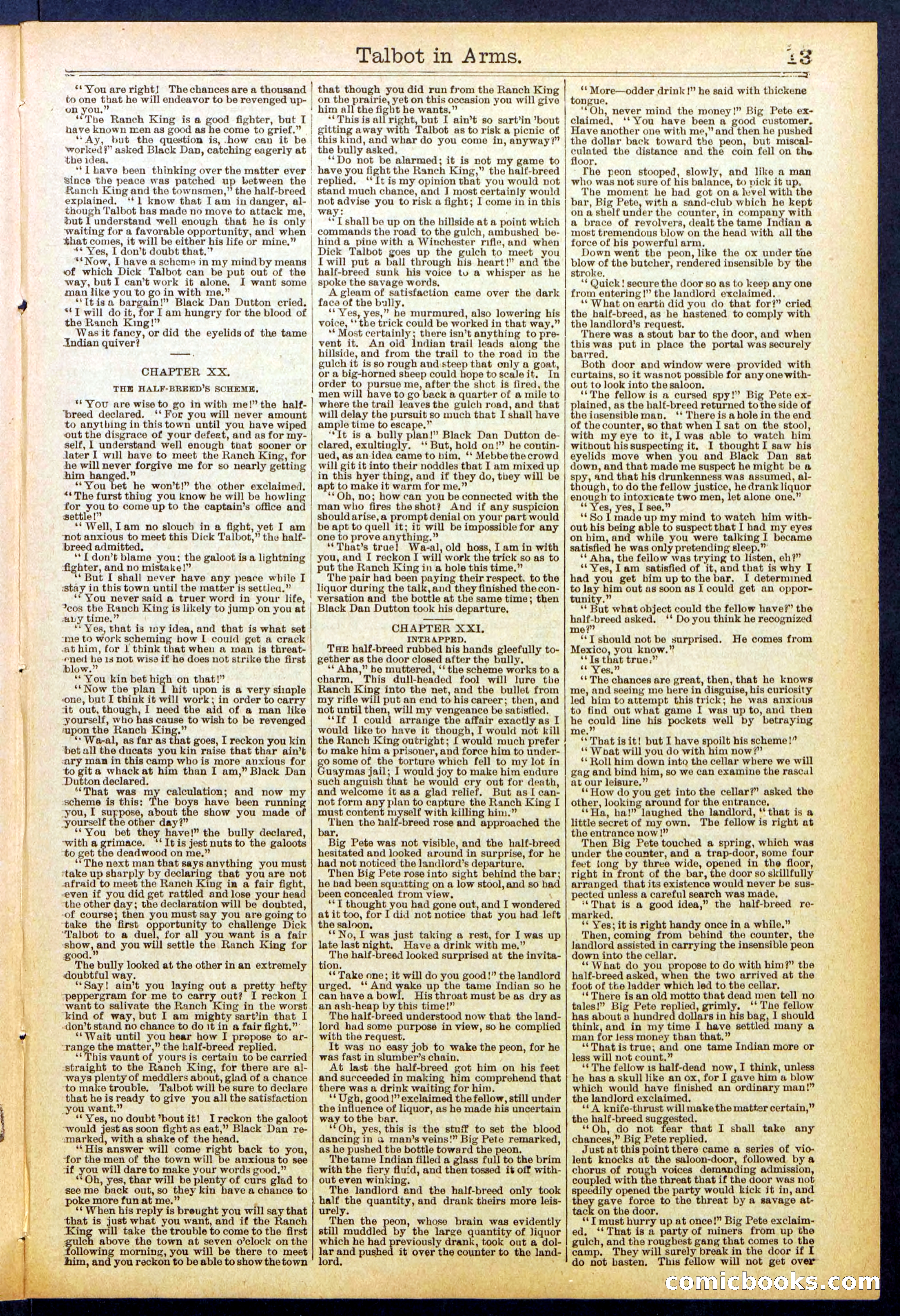 Beadle's New York Dime Library No. 741 — page 13 of 32