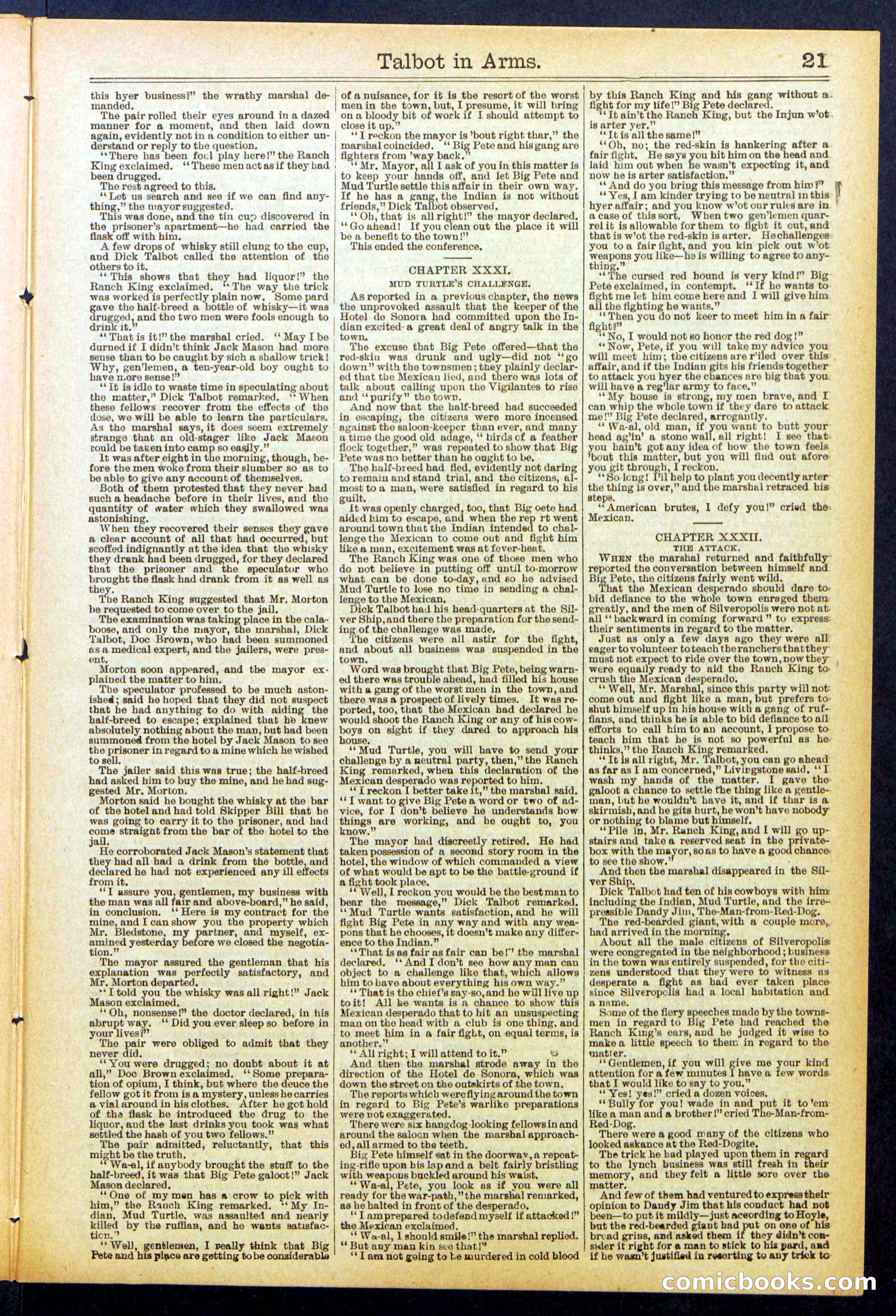 Beadle's New York Dime Library No. 741 — page 21 of 32