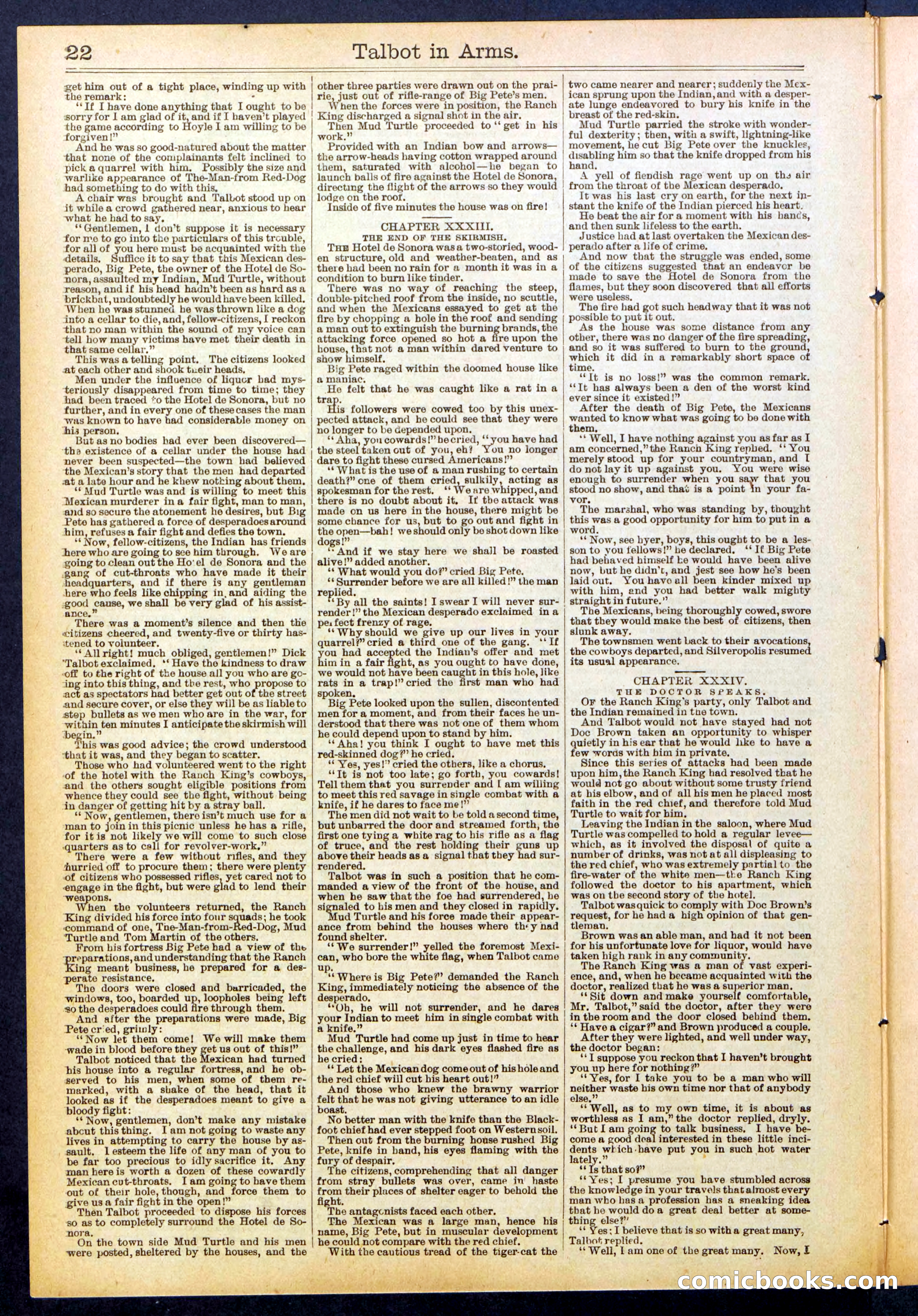 Beadle's New York Dime Library No. 741 — page 22 of 32