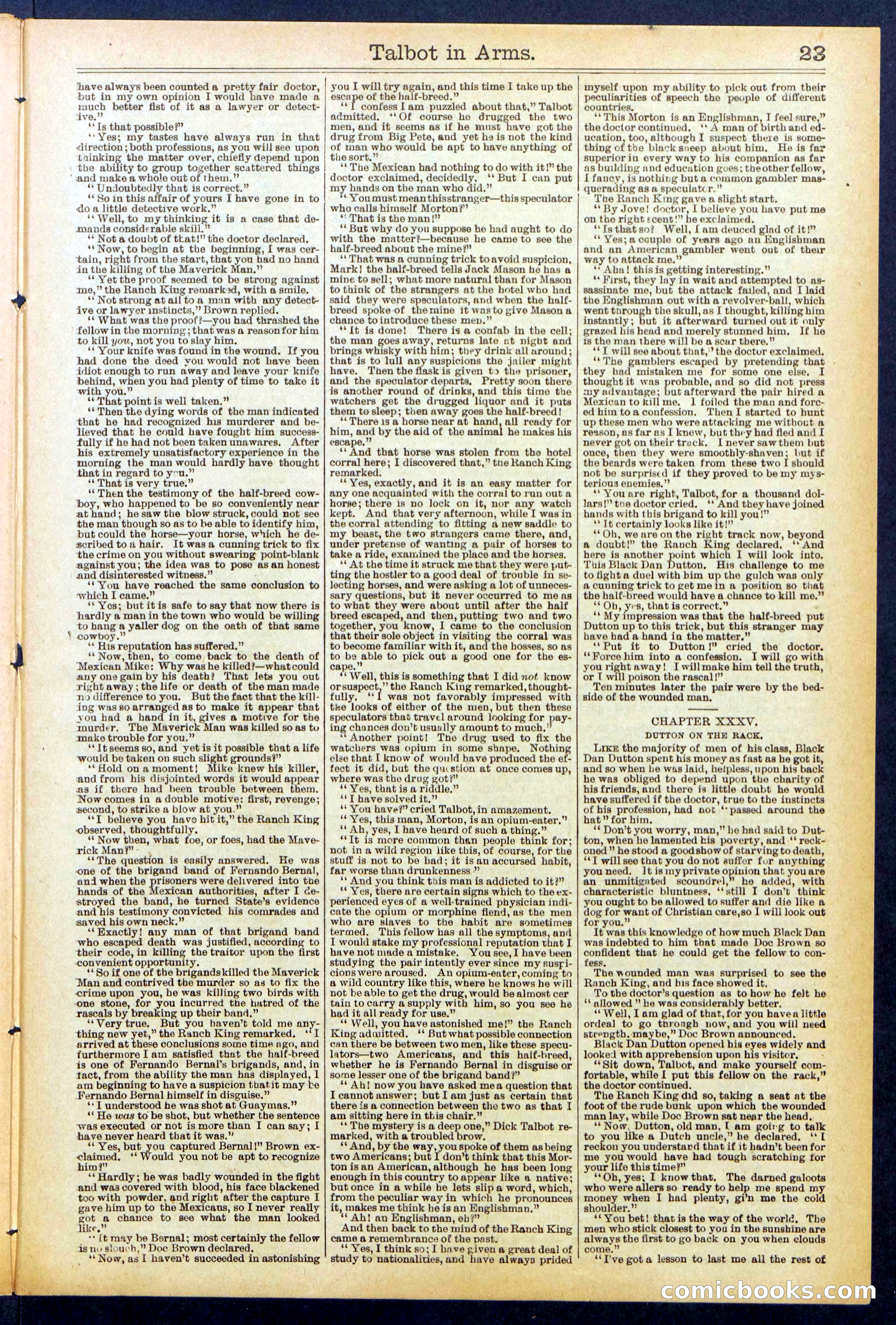 Beadle's New York Dime Library No. 741 — page 23 of 32