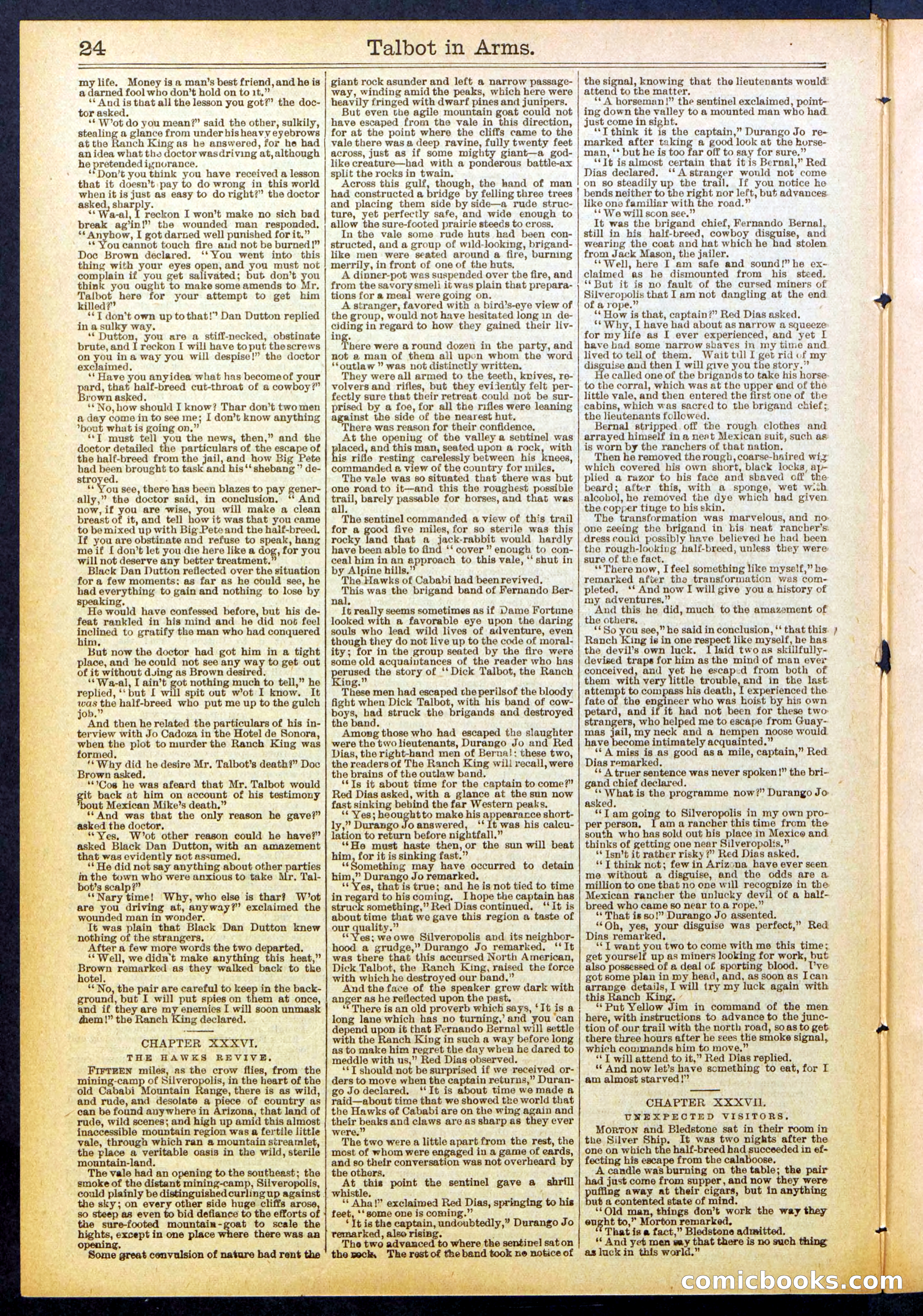 Beadle's New York Dime Library No. 741 — page 24 of 32