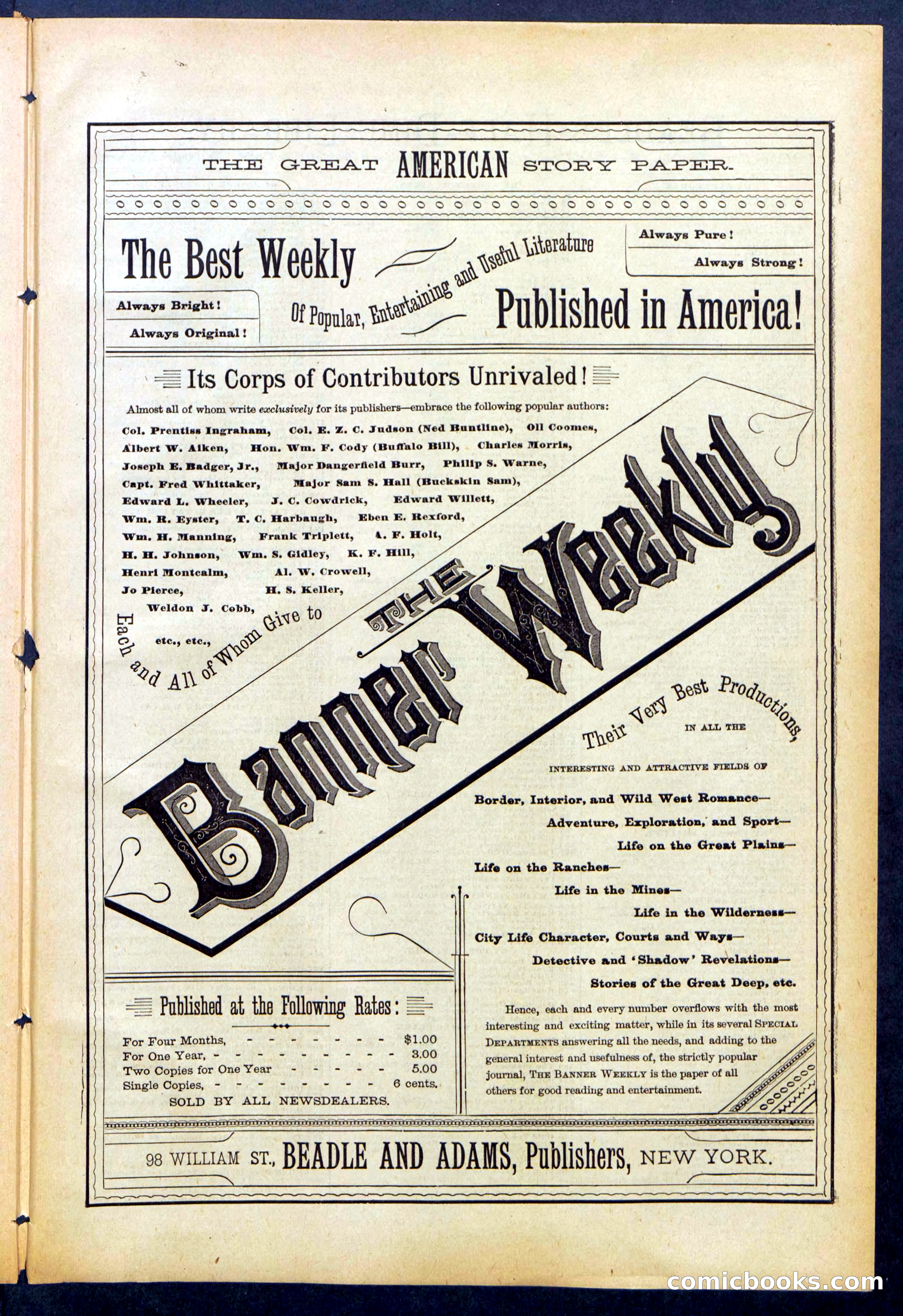 Beadle's New York Dime Library No. 741 — page 29 of 32