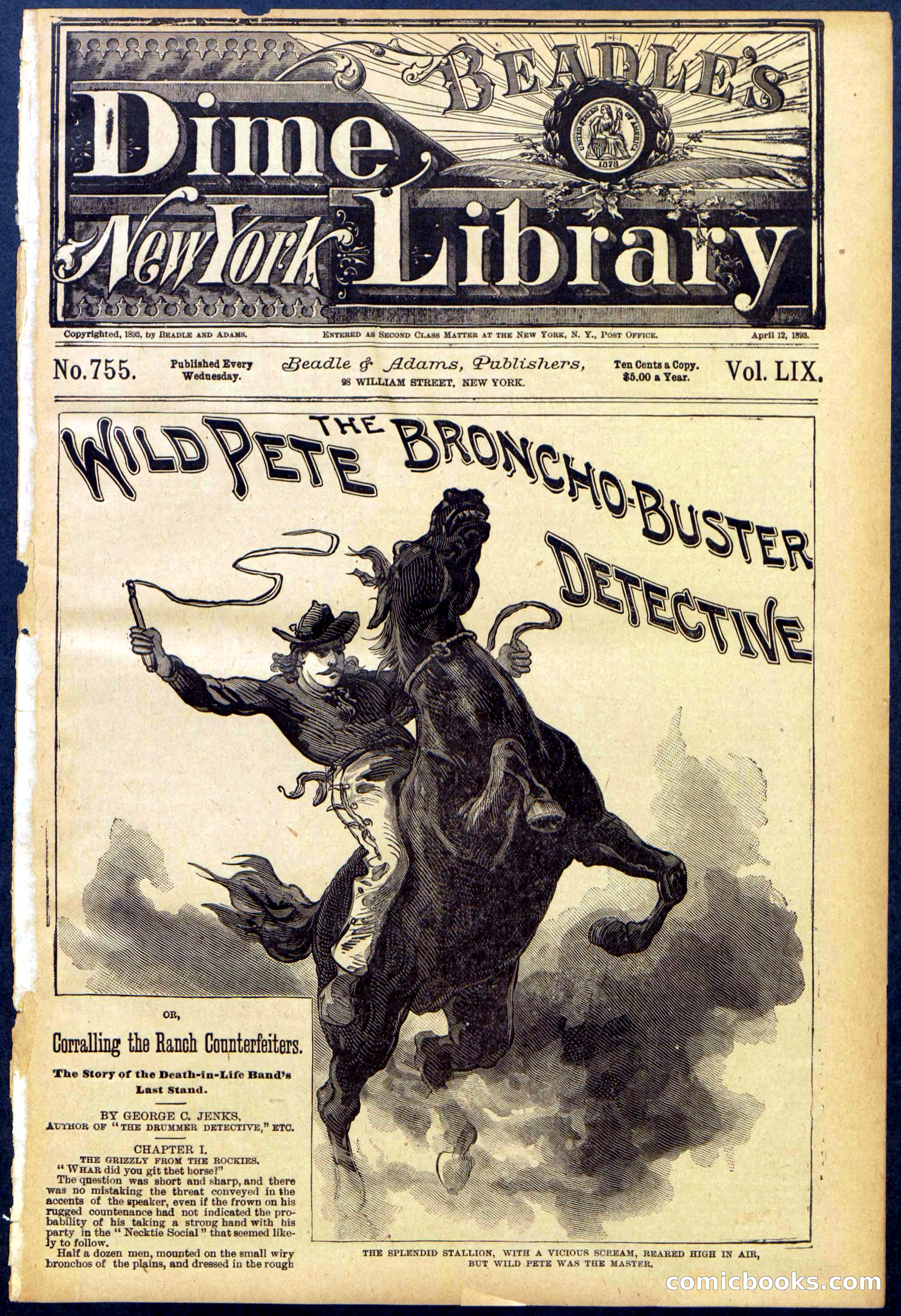 Beadle's Dime Library No. 755 — page 1 of 32