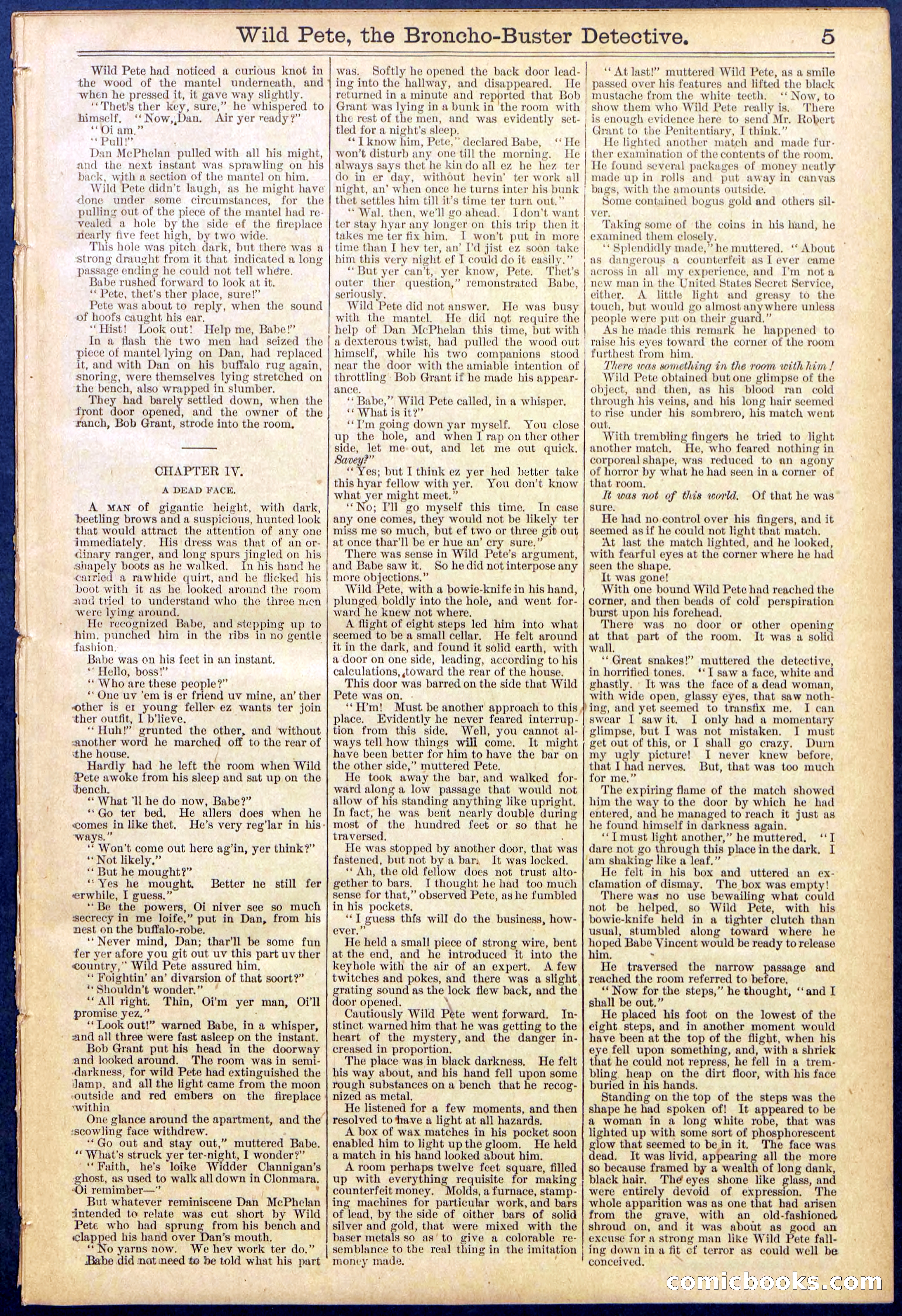 Beadle's Dime Library No. 755 — page 5 of 32