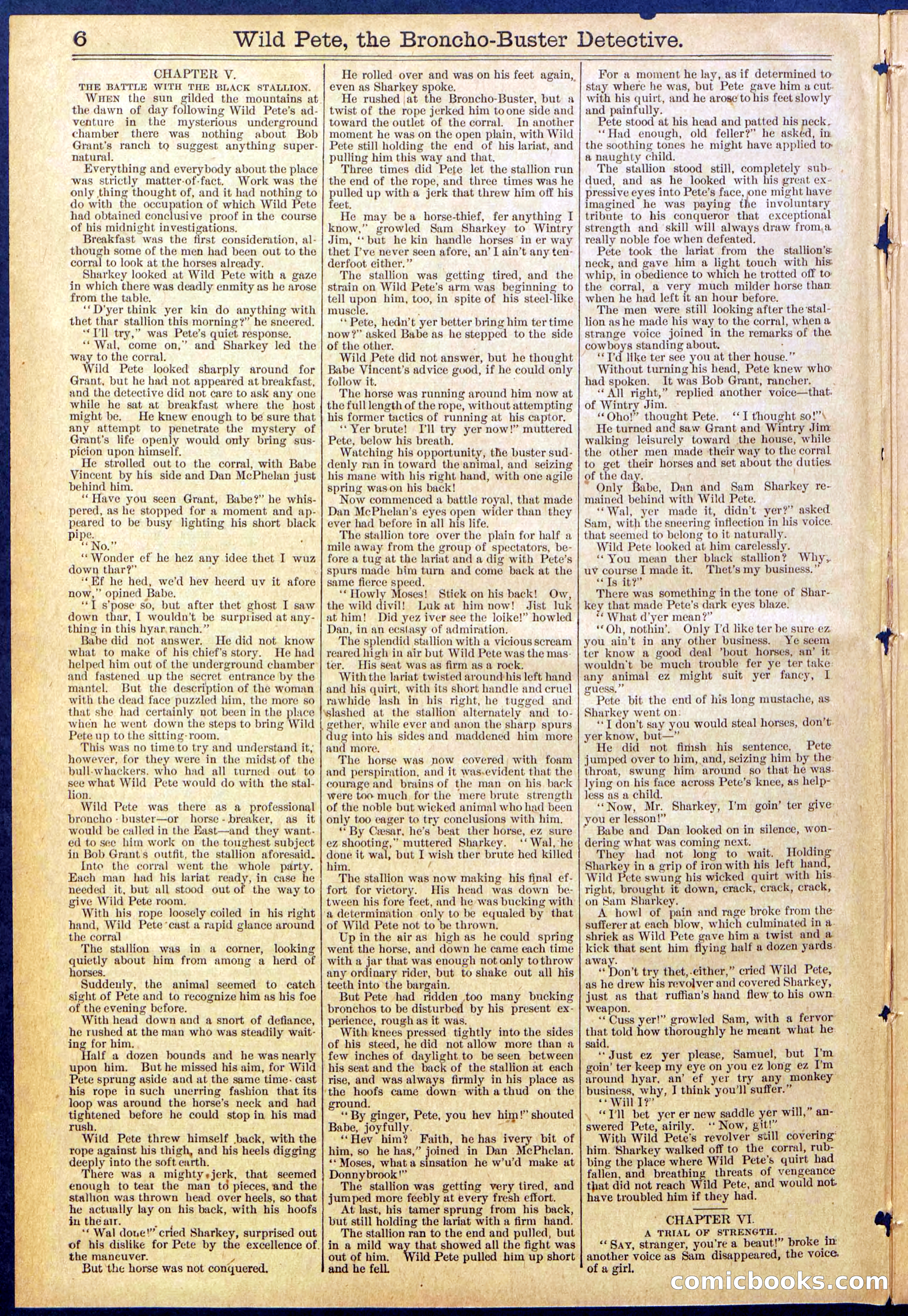 Beadle's Dime Library No. 755 — page 6 of 32