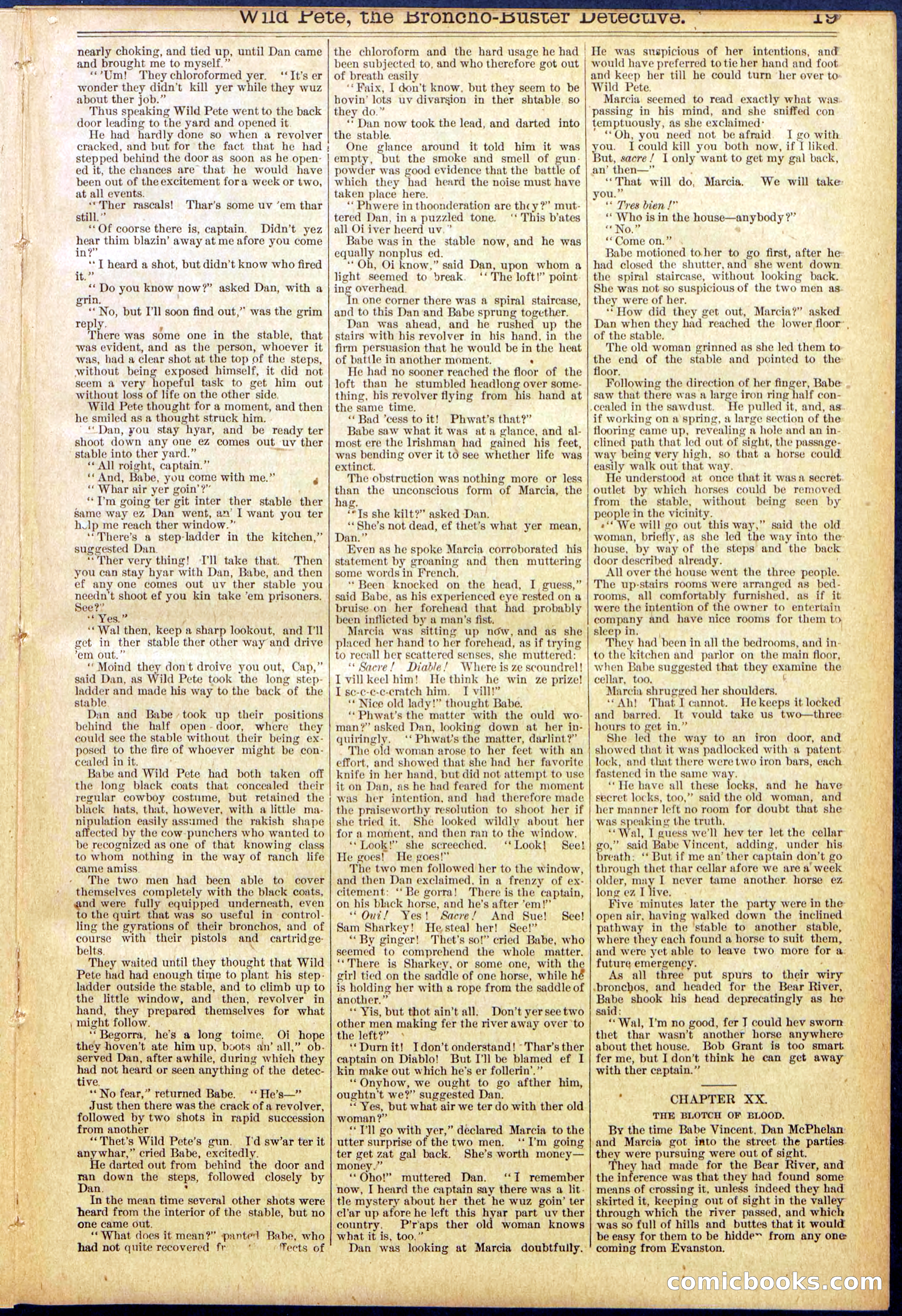Beadle's Dime Library No. 755 — page 19 of 32