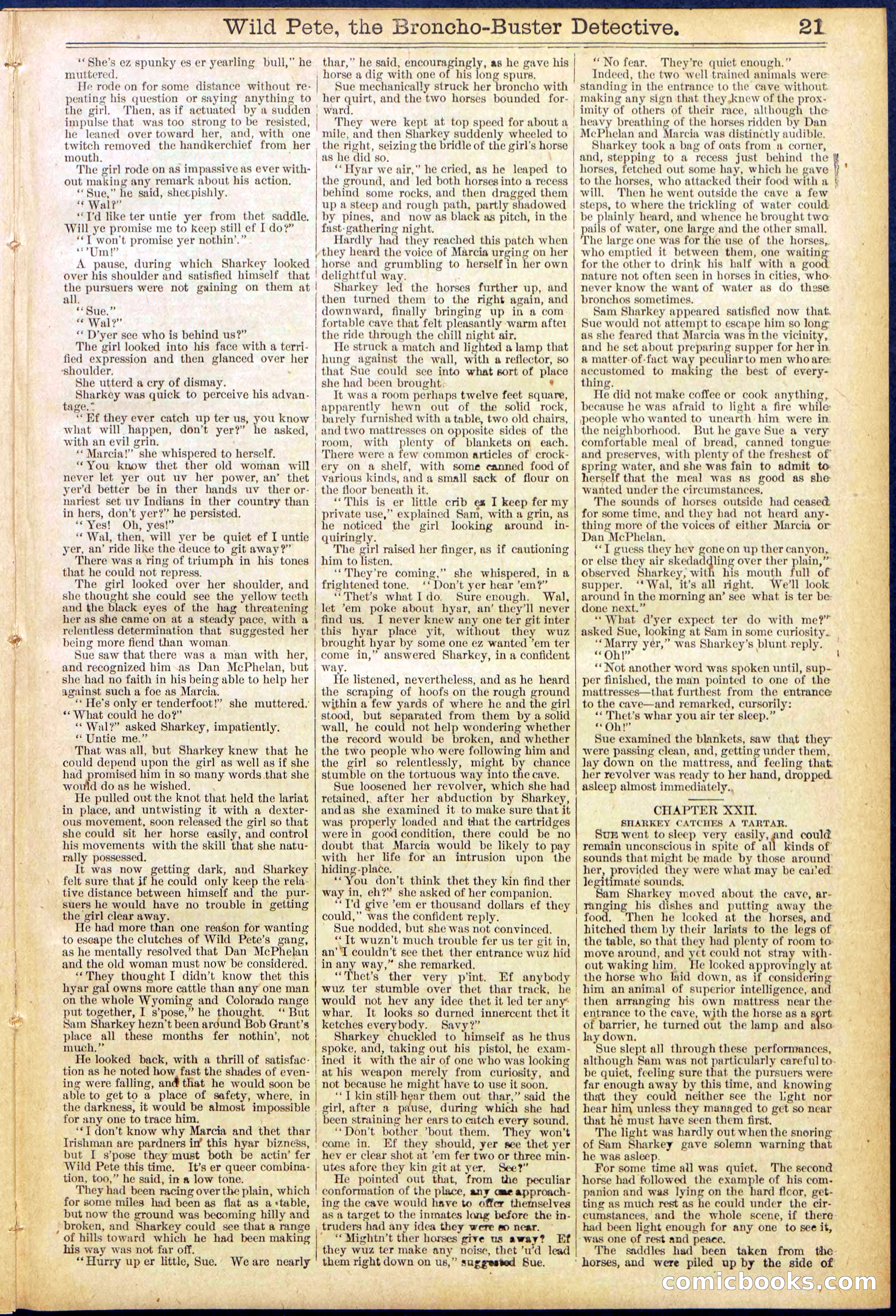Beadle's Dime Library No. 755 — page 21 of 32