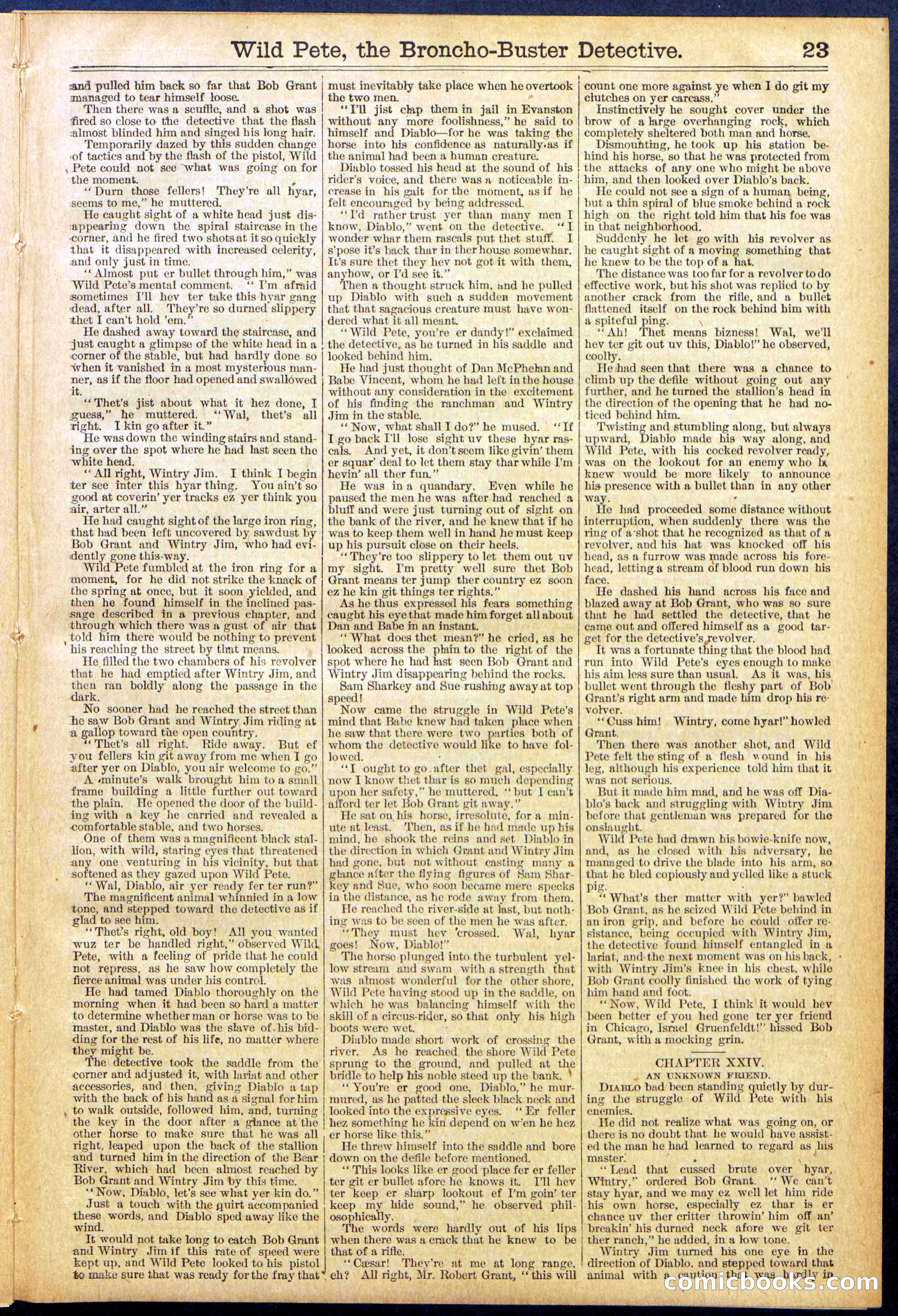Beadle's Dime Library No. 755 — page 23 of 32