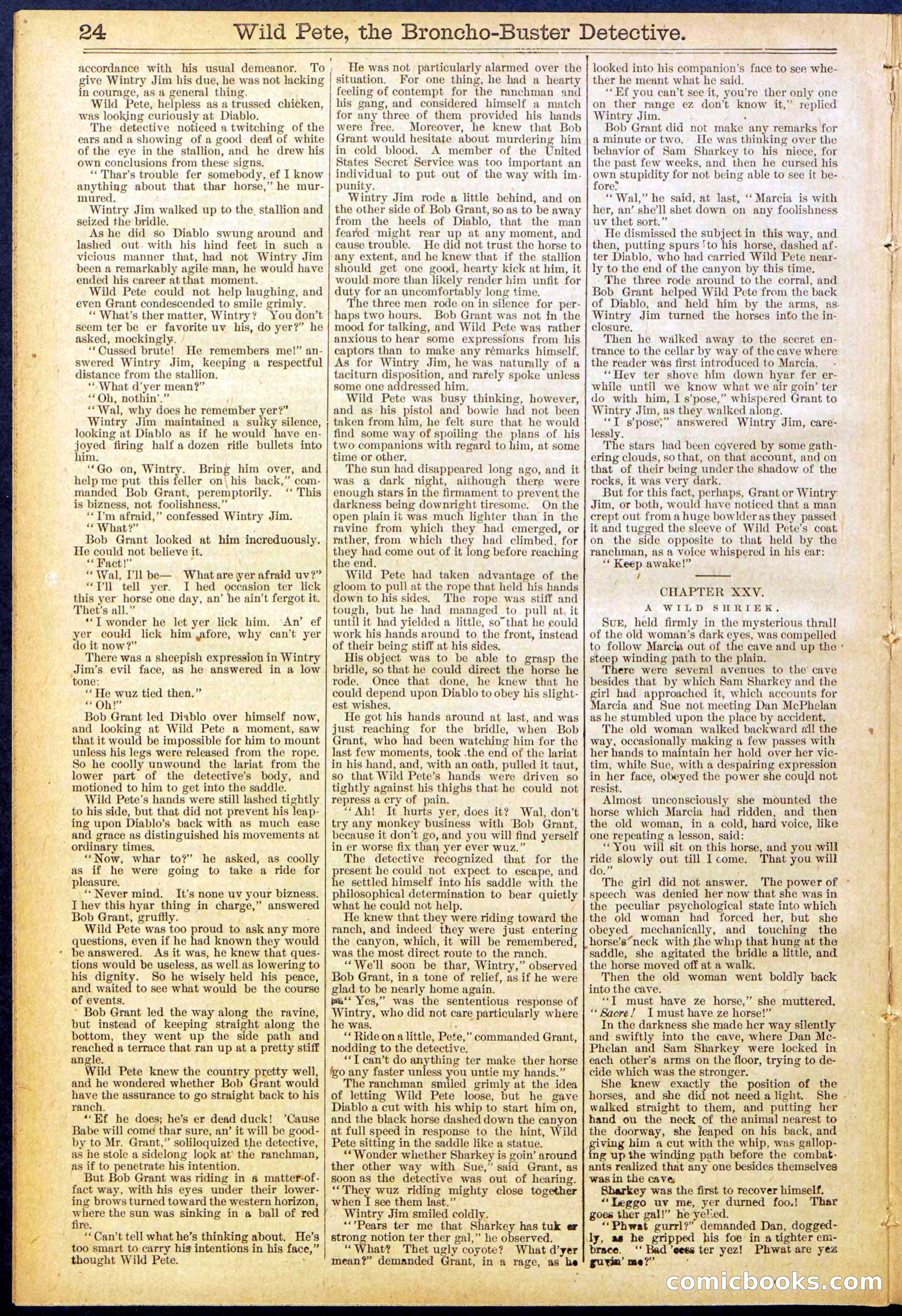 Beadle's Dime Library No. 755 — page 24 of 32