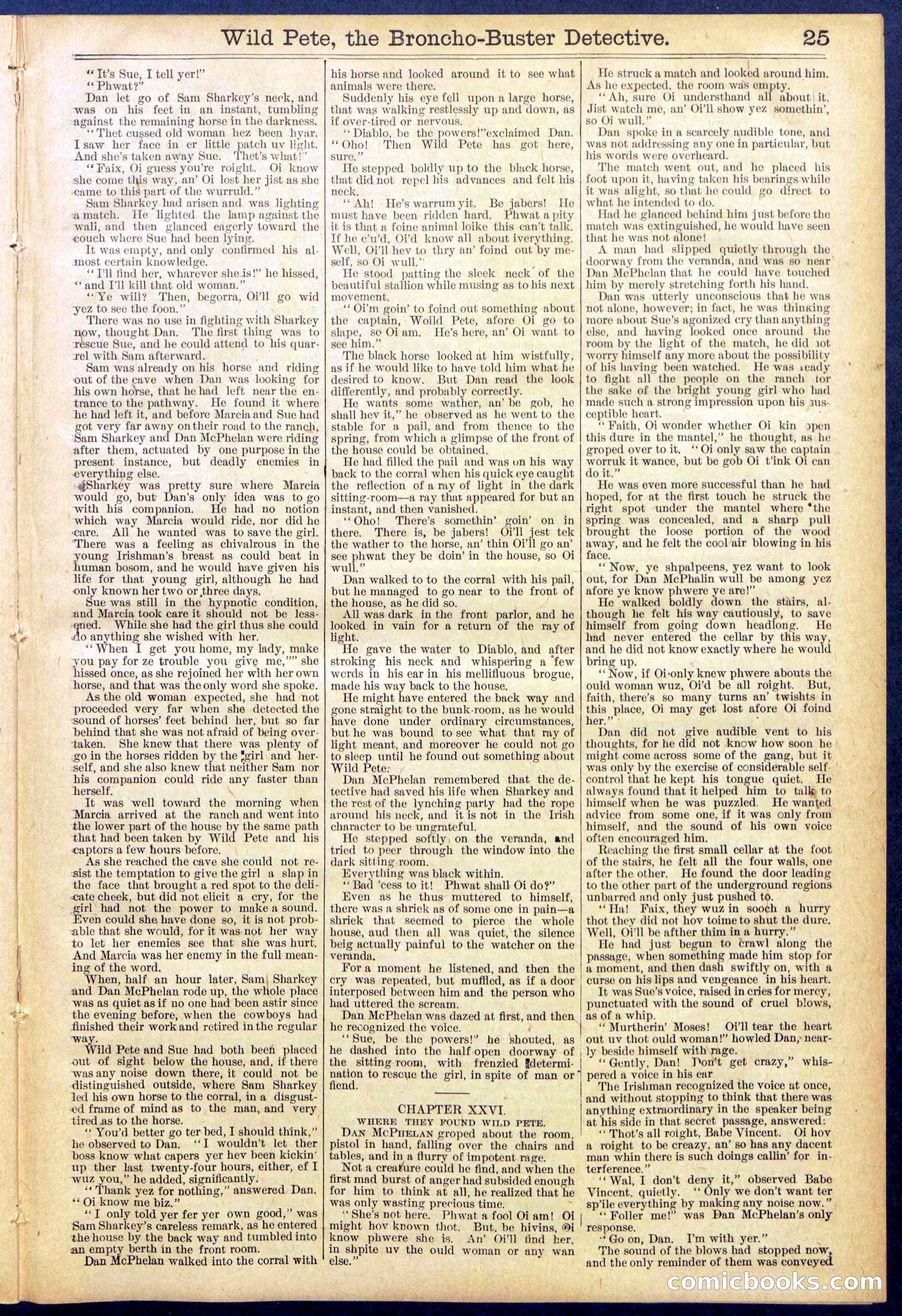 Beadle's Dime Library No. 755 — page 25 of 32