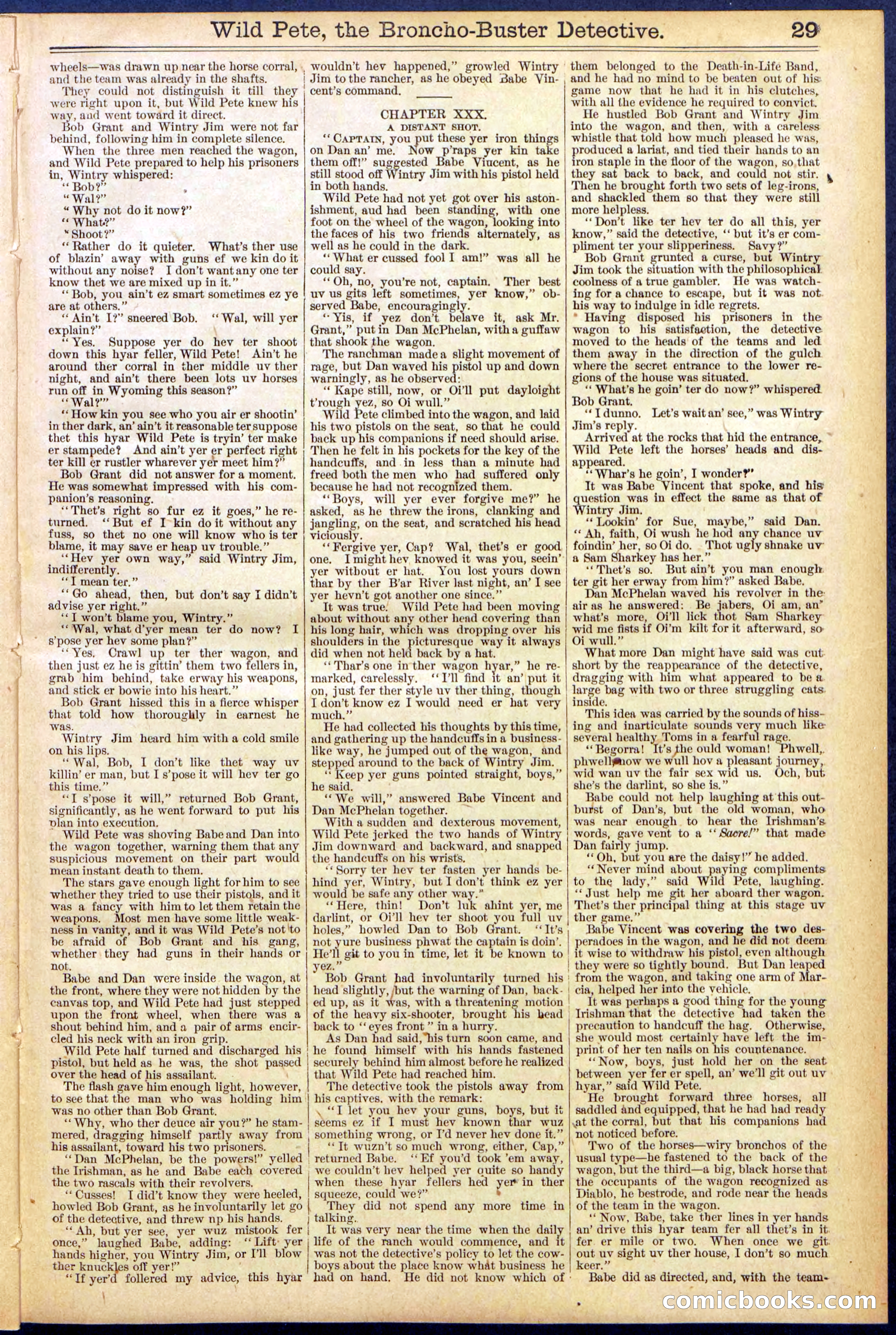 Beadle's Dime Library No. 755 — page 29 of 32