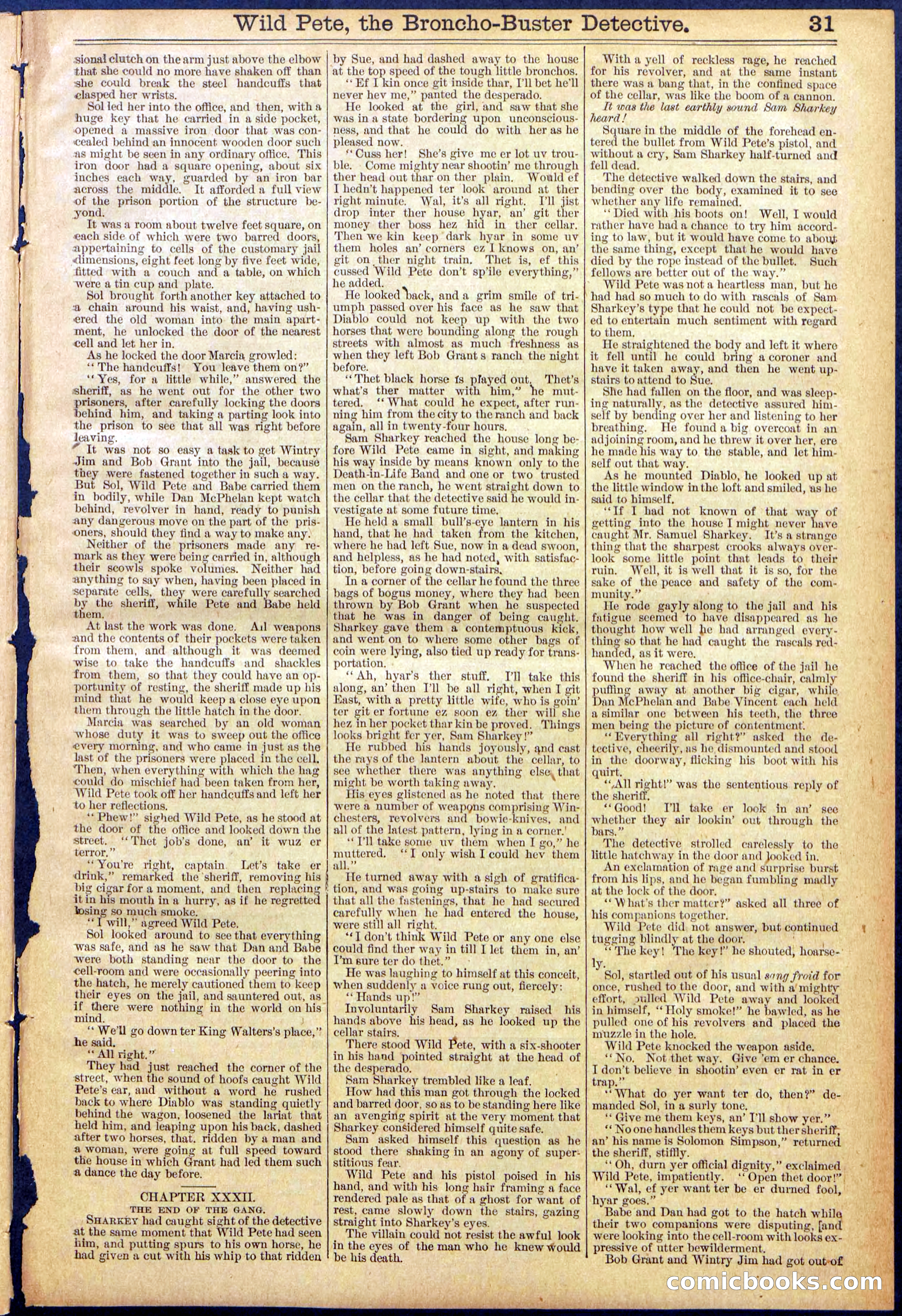 Beadle's Dime Library No. 755 — page 31 of 32