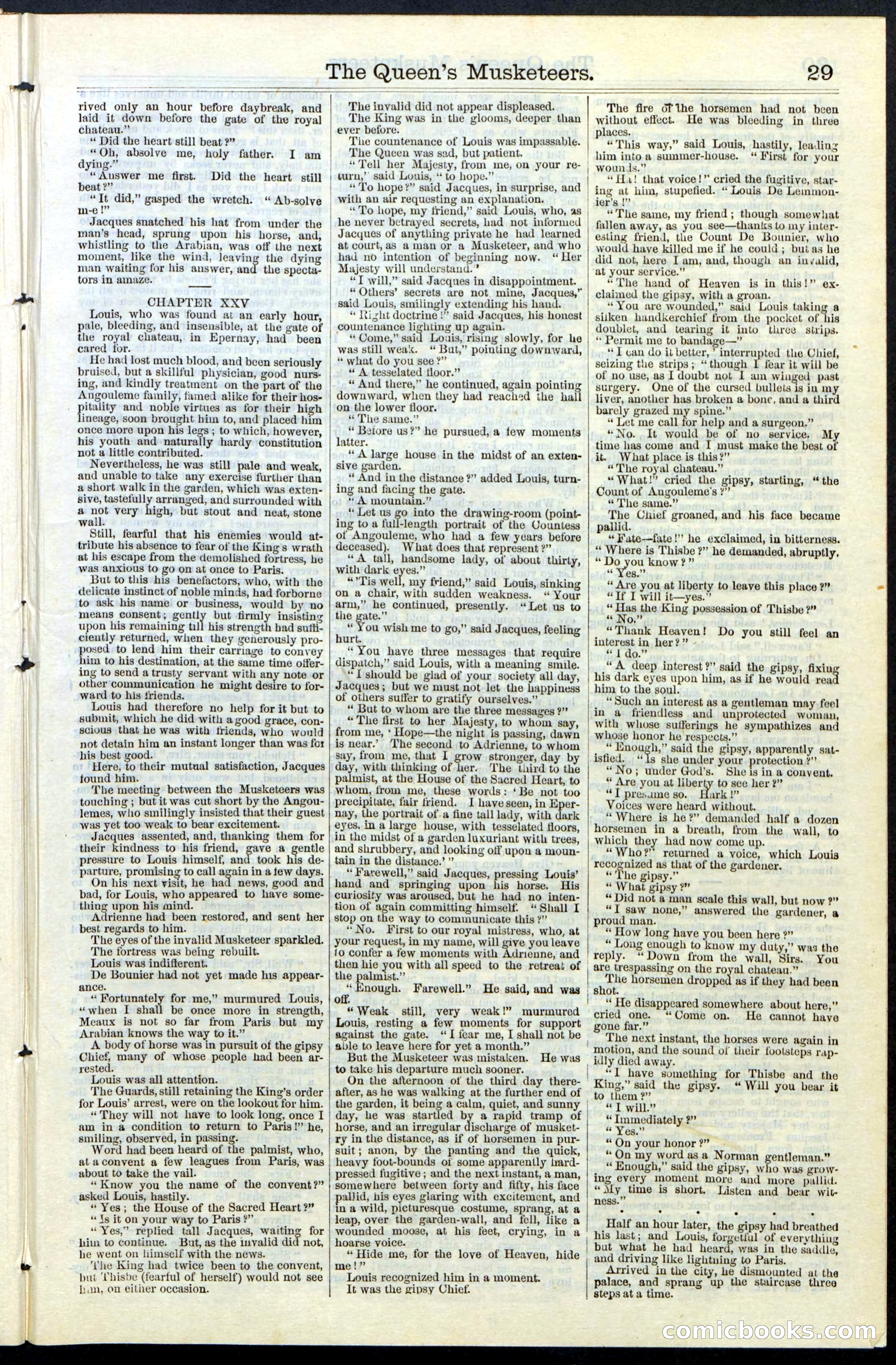 Beadle's New York Dime Library, No. 76 — page 29 of 32