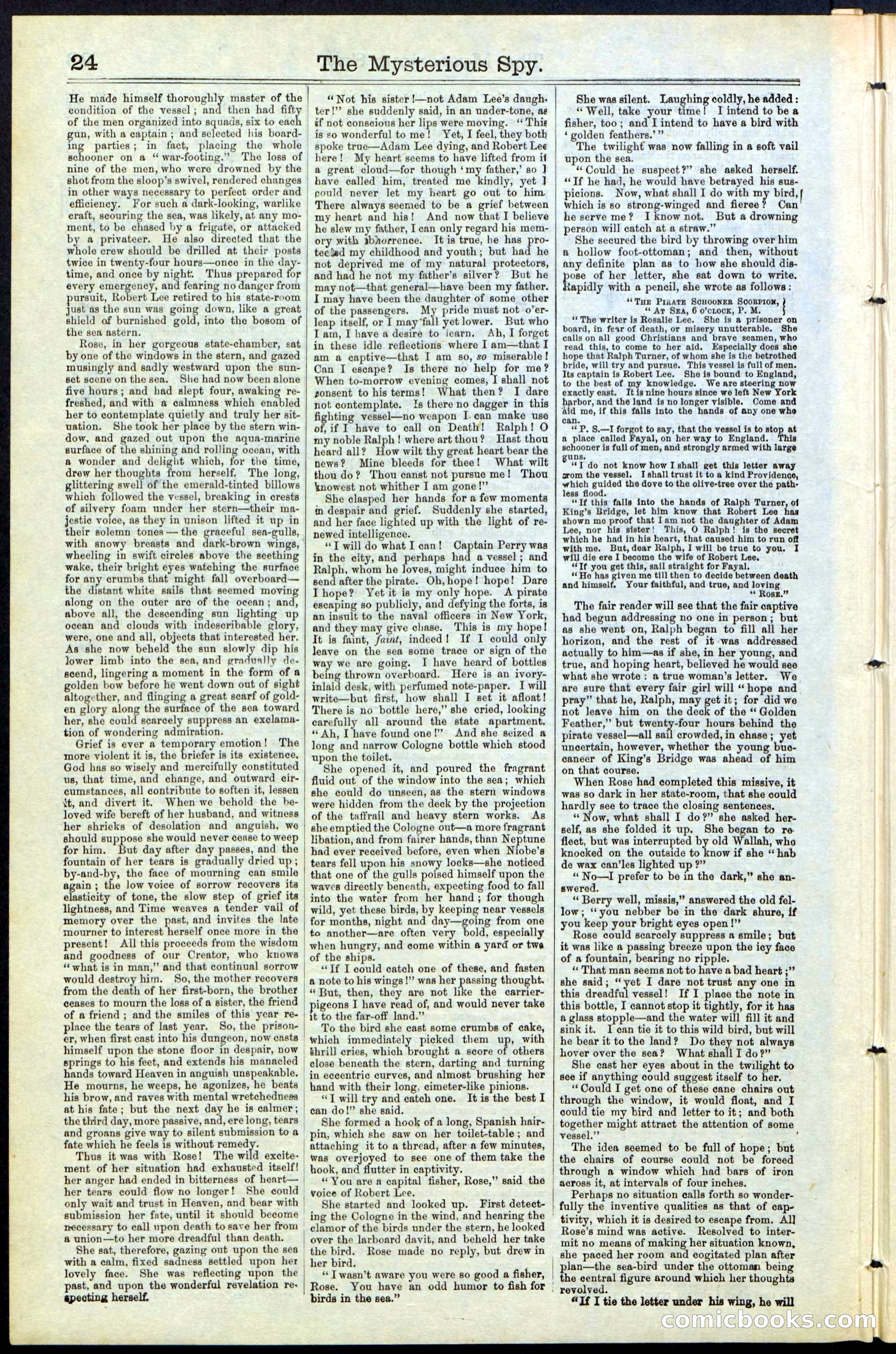 Beadle's New York Dime Library No. 78 — page 24 of 32