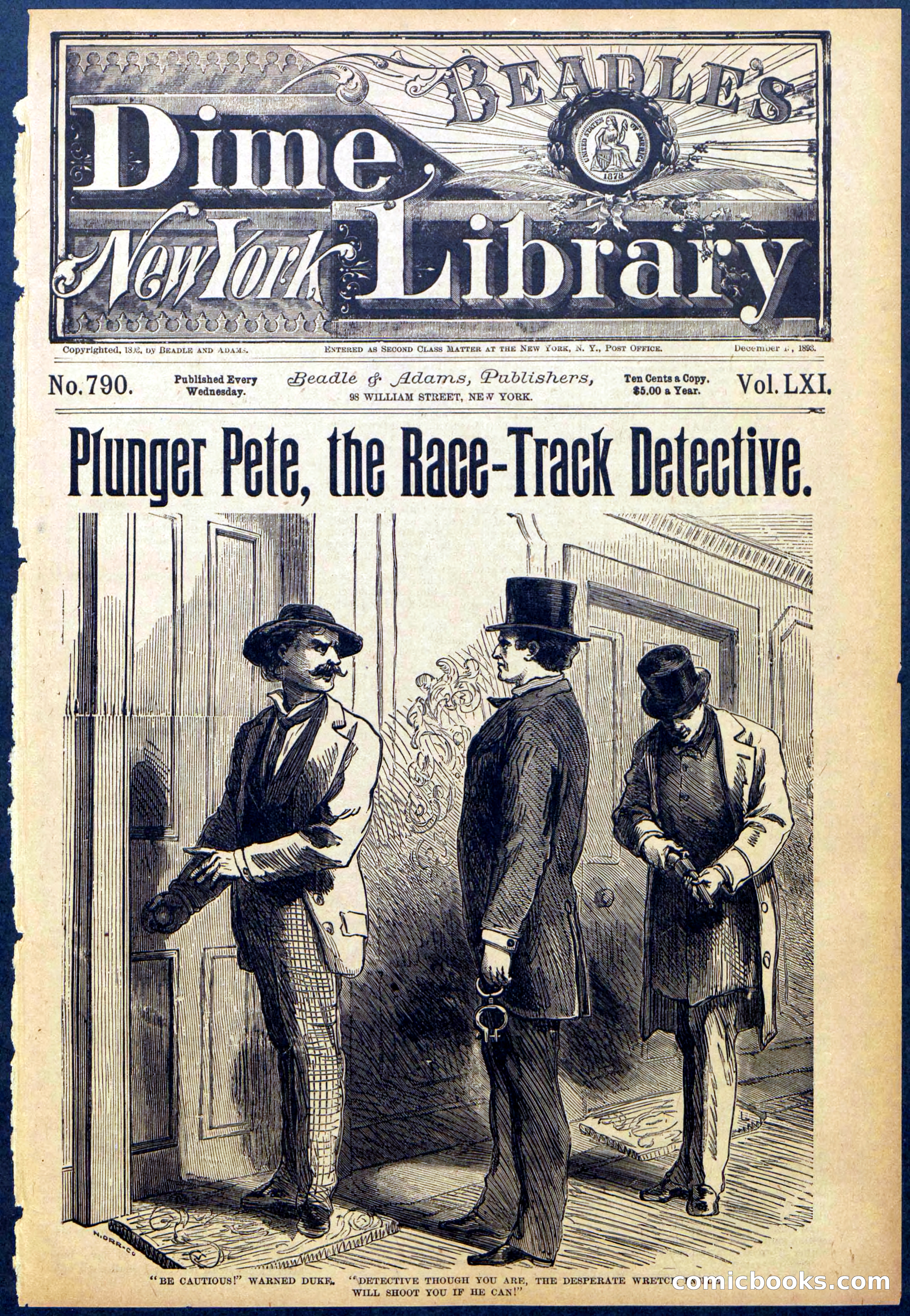 Beadle's New York Dime Library No. 790 — page 1 of 32