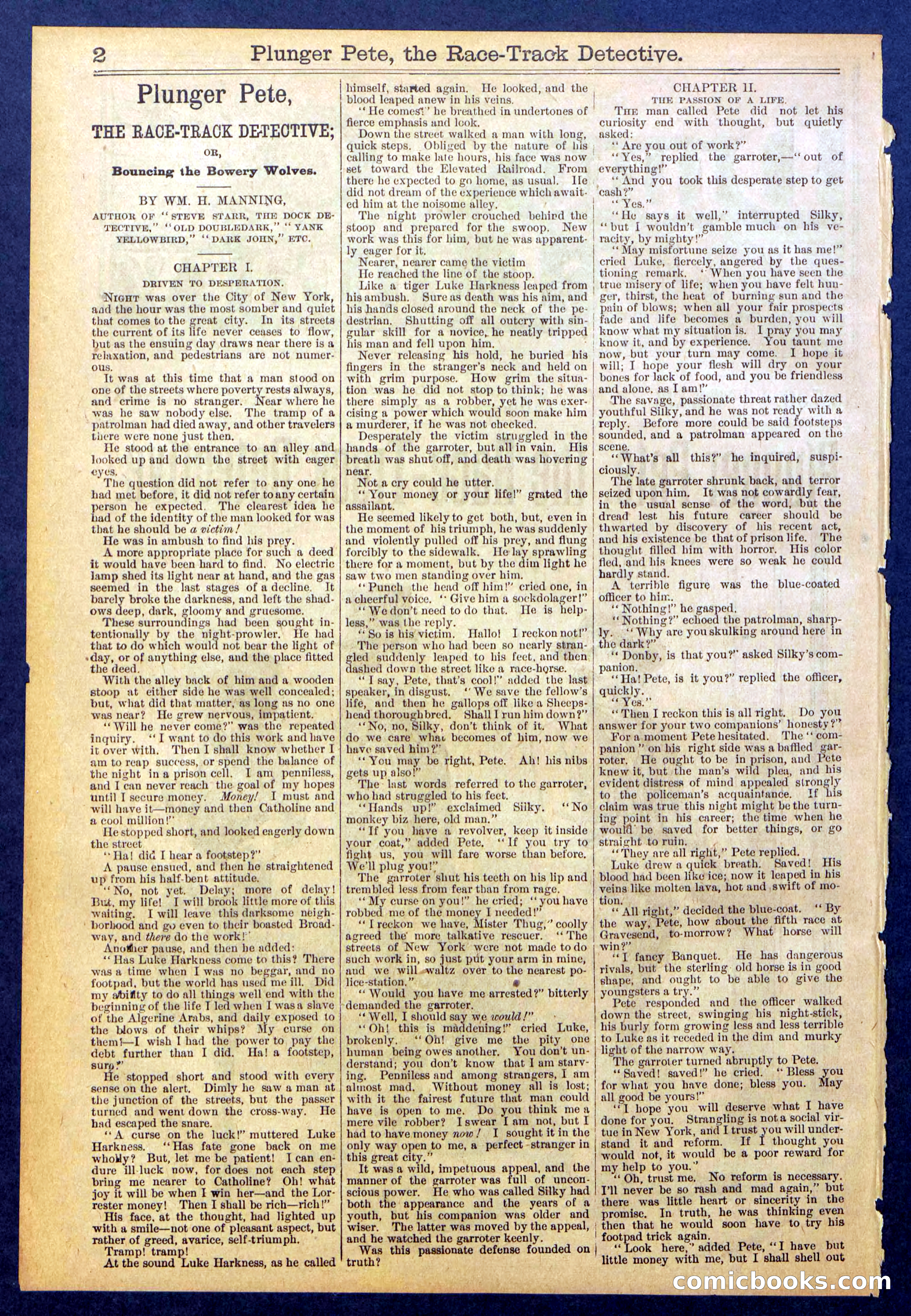 Beadle's New York Dime Library No. 790 — page 2 of 32