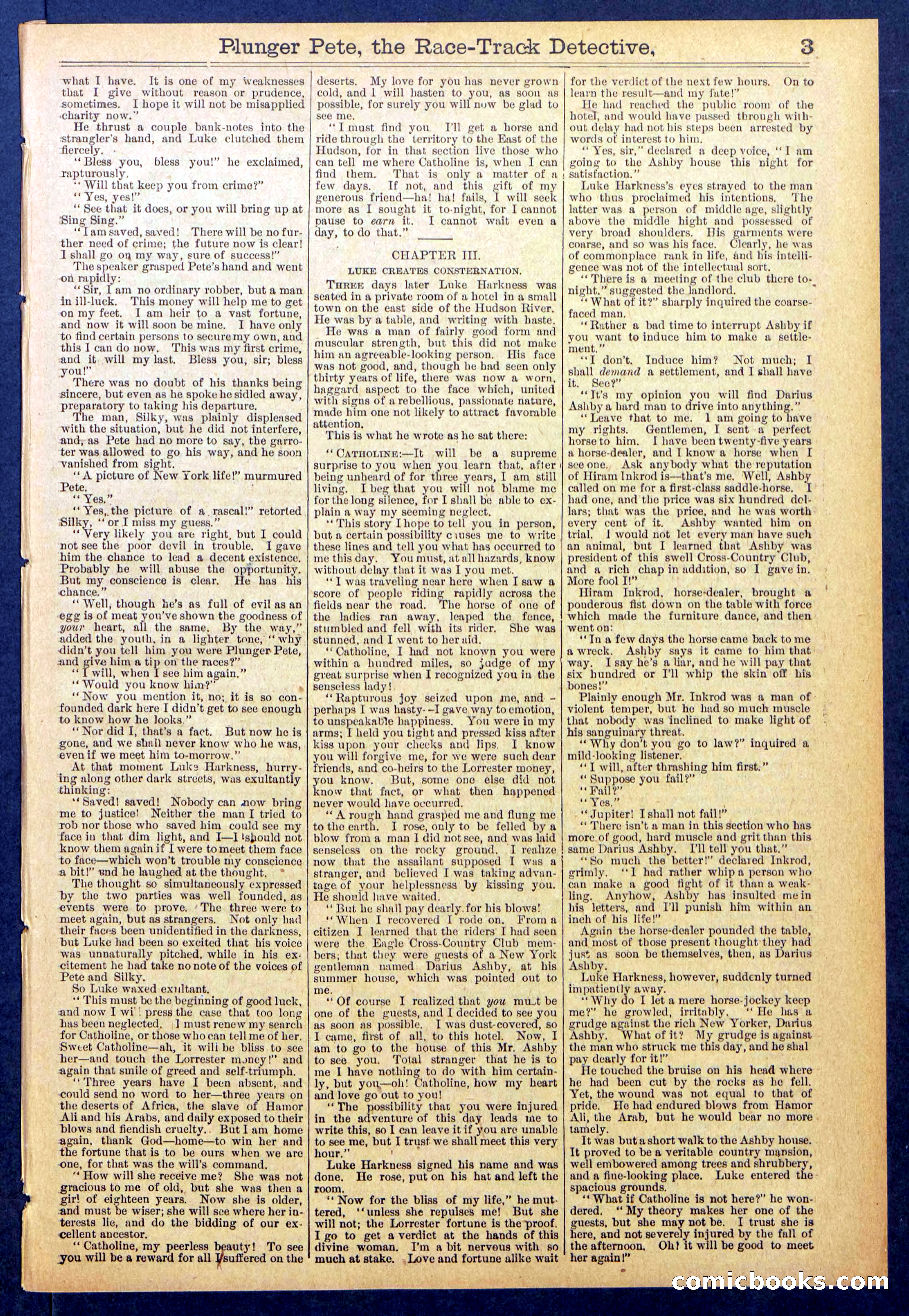 Beadle's New York Dime Library No. 790 — page 3 of 32