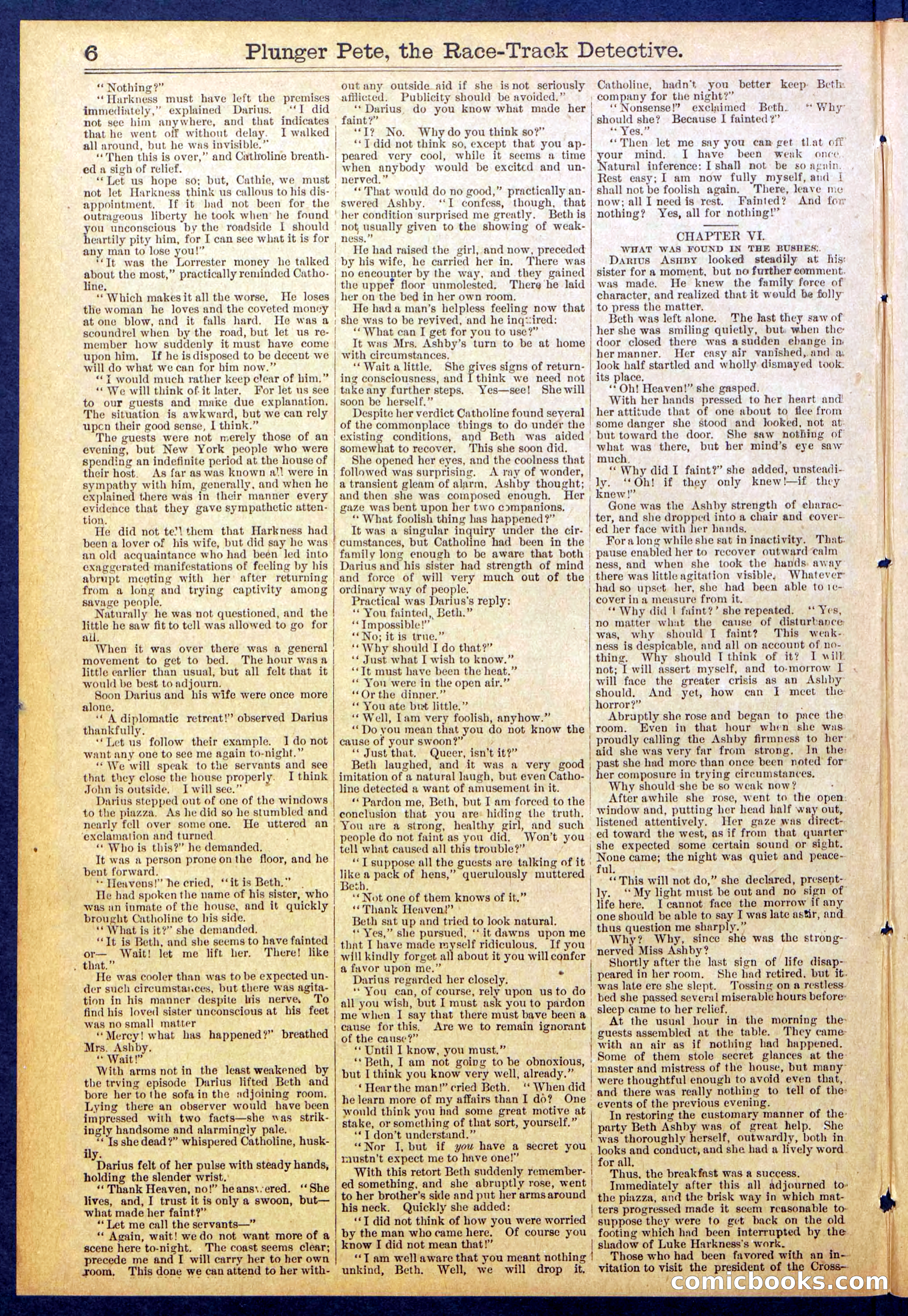 Beadle's New York Dime Library No. 790 — page 6 of 32