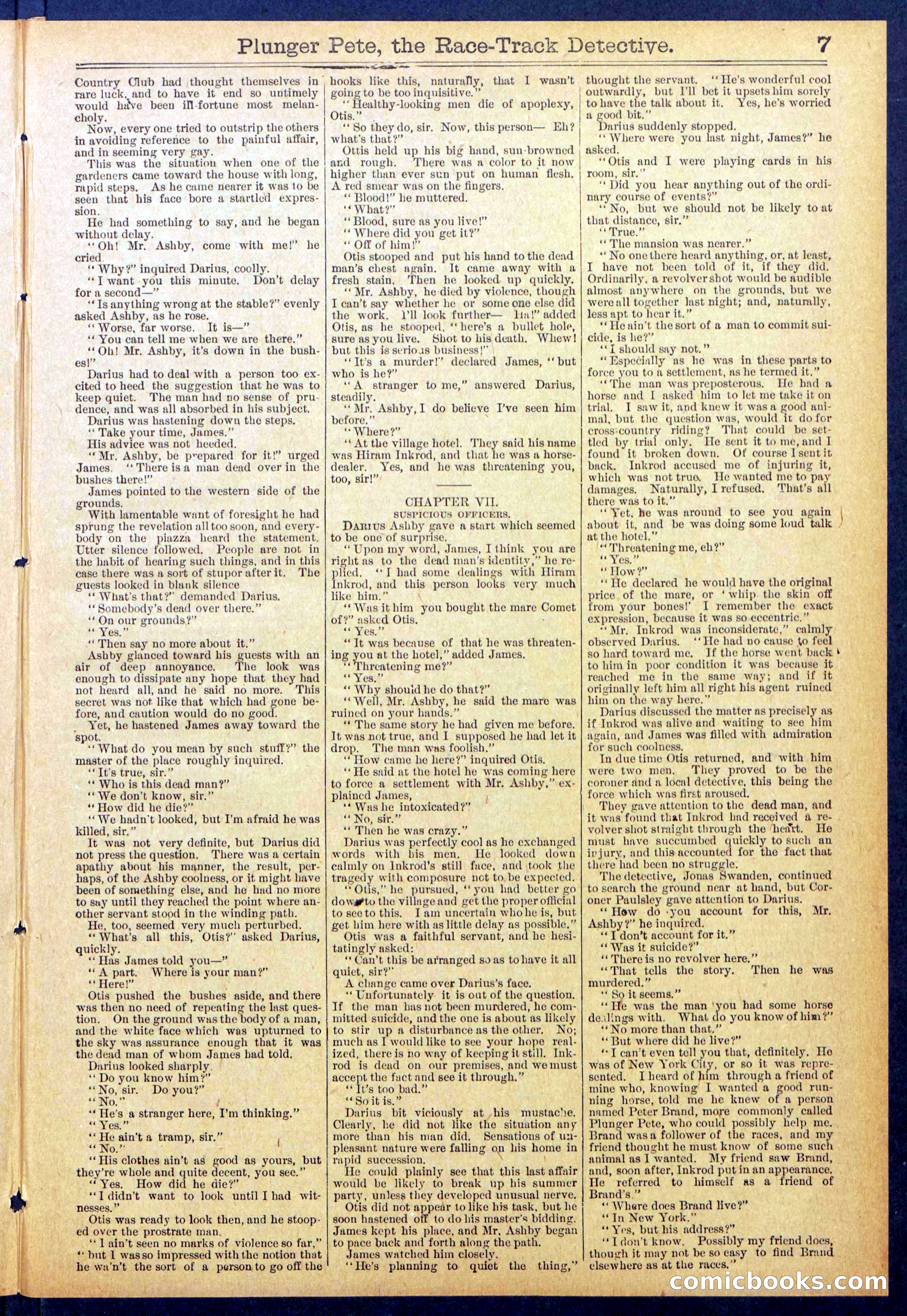 Beadle's New York Dime Library No. 790 — page 7 of 32