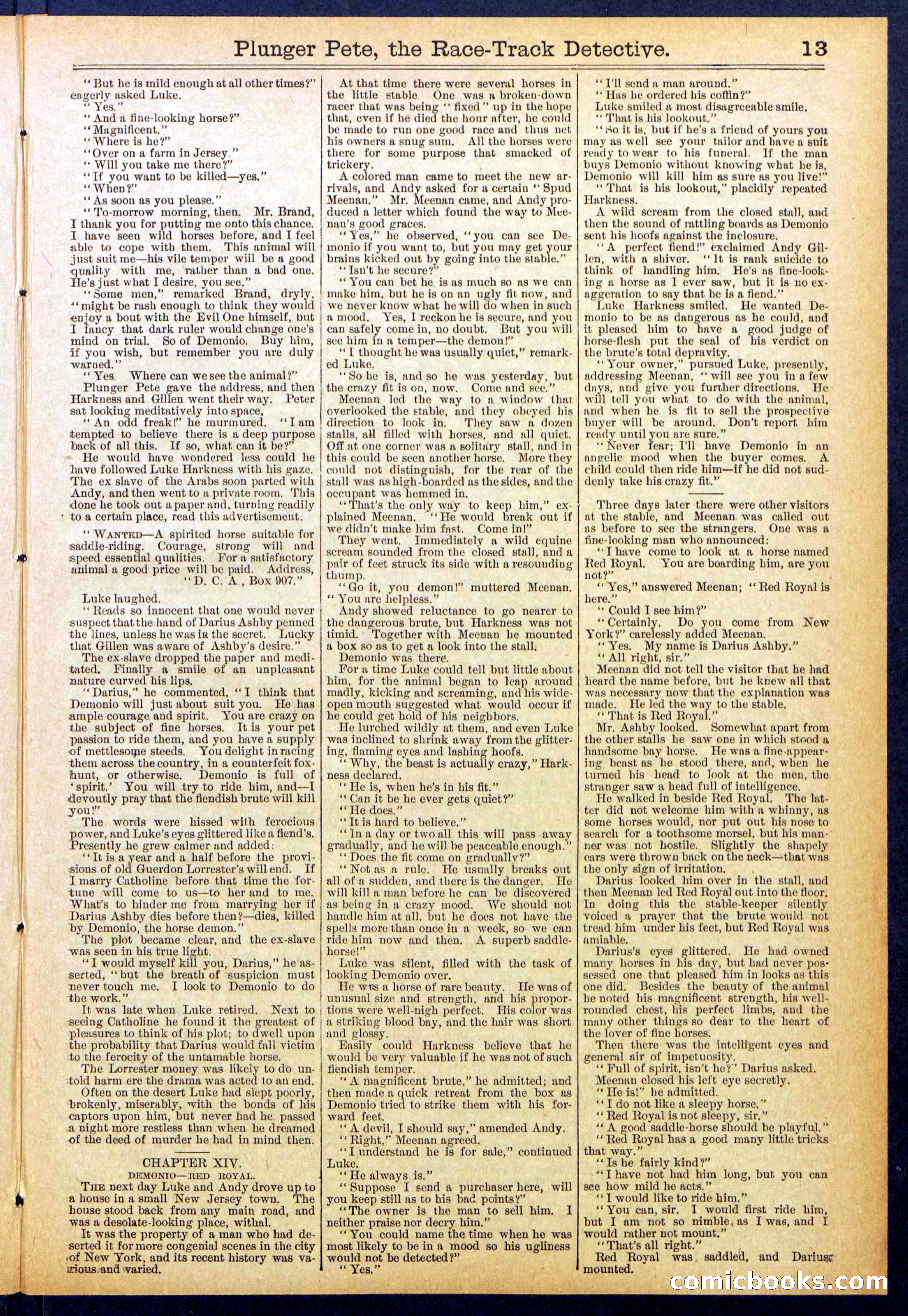 Beadle's New York Dime Library No. 790 — page 13 of 32