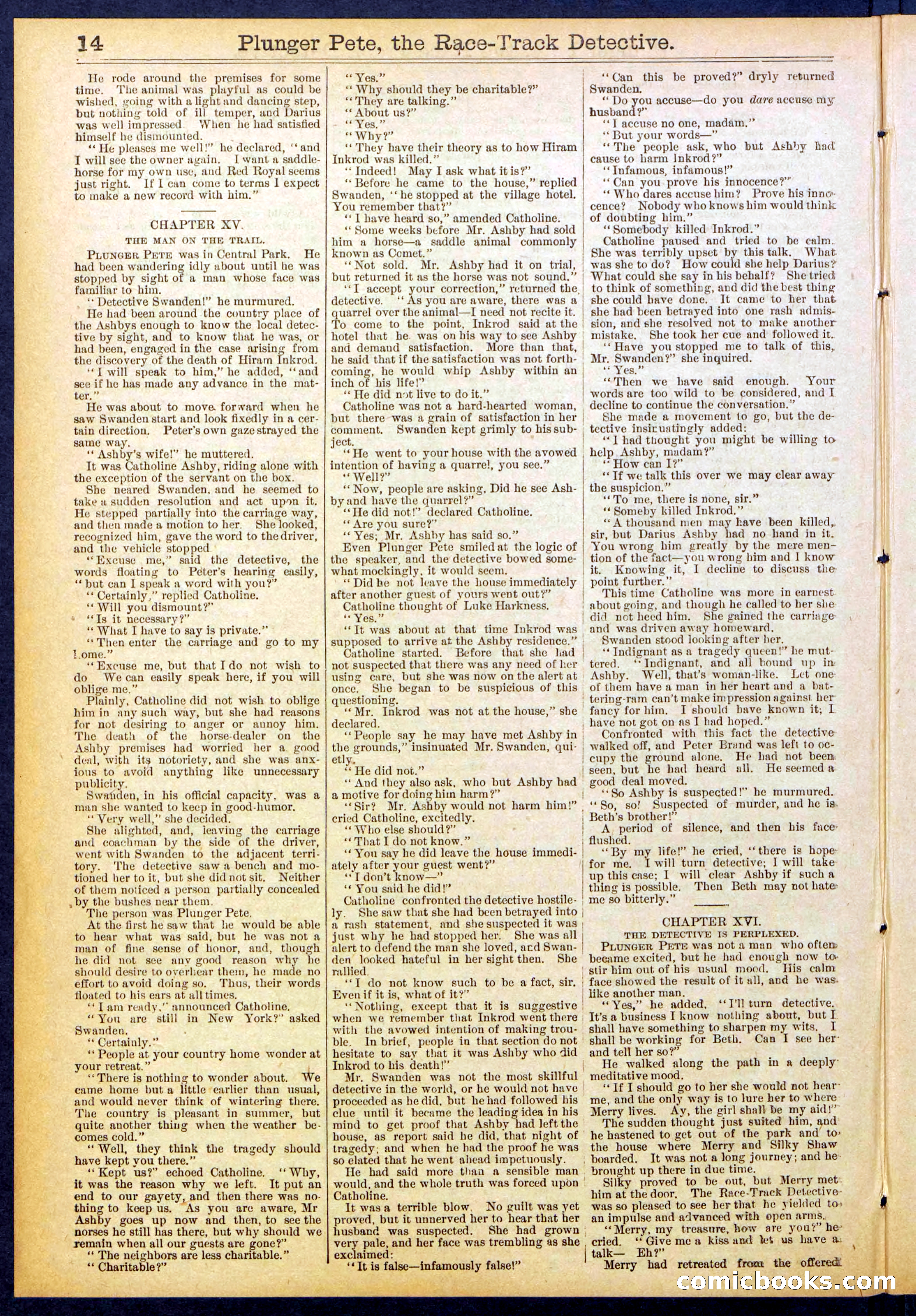 Beadle's New York Dime Library No. 790 — page 14 of 32