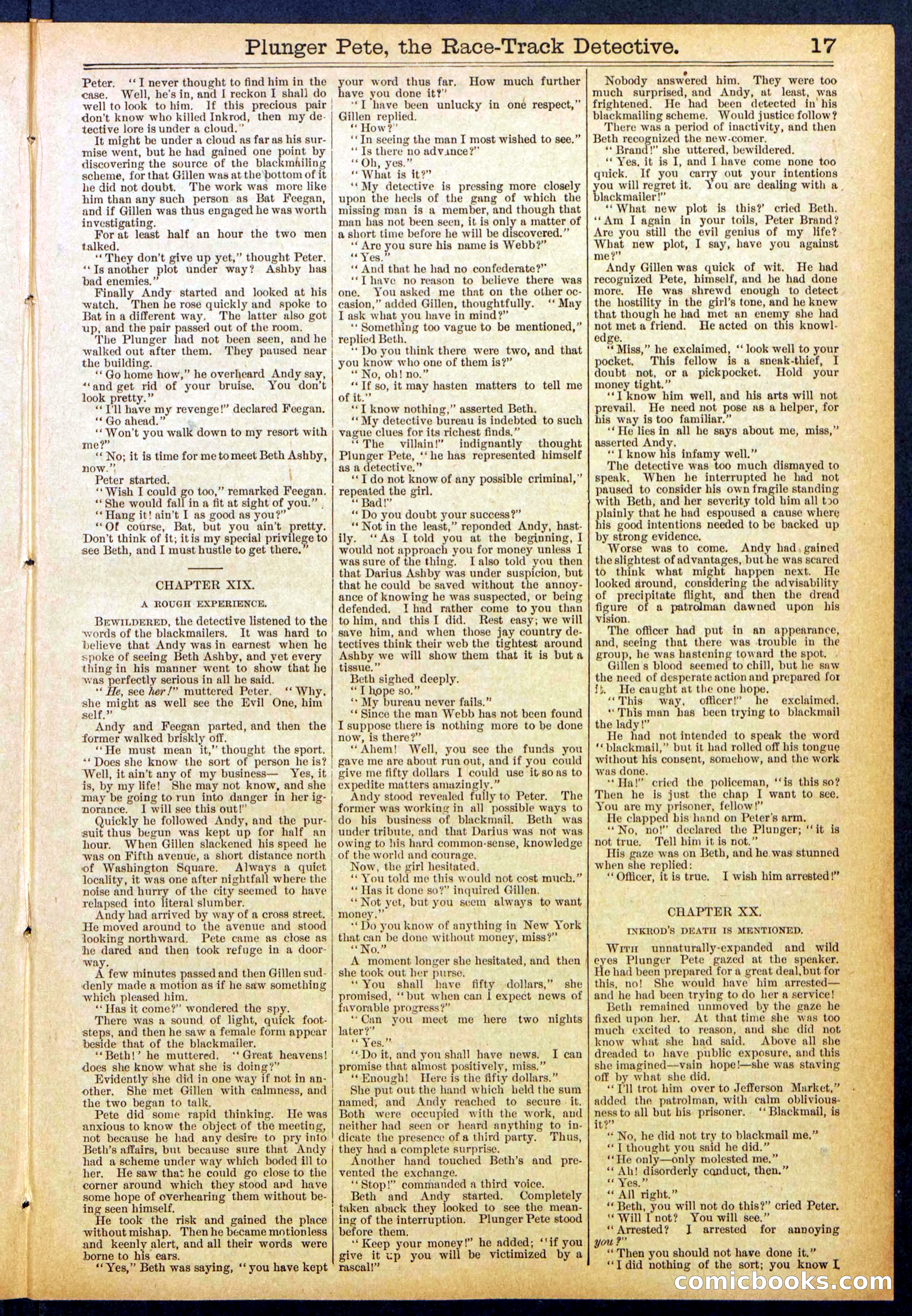 Beadle's New York Dime Library No. 790 — page 17 of 32