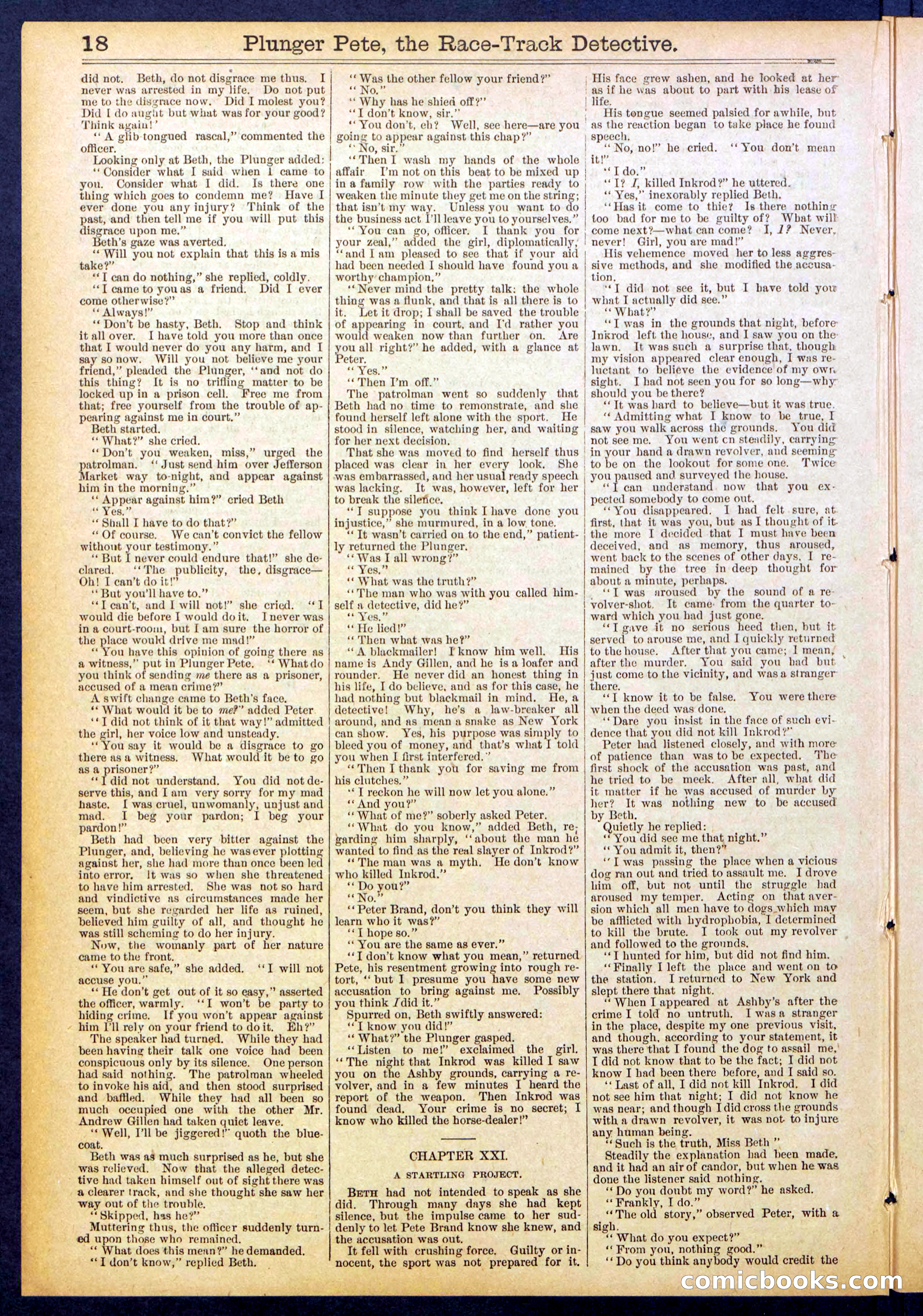 Beadle's New York Dime Library No. 790 — page 18 of 32
