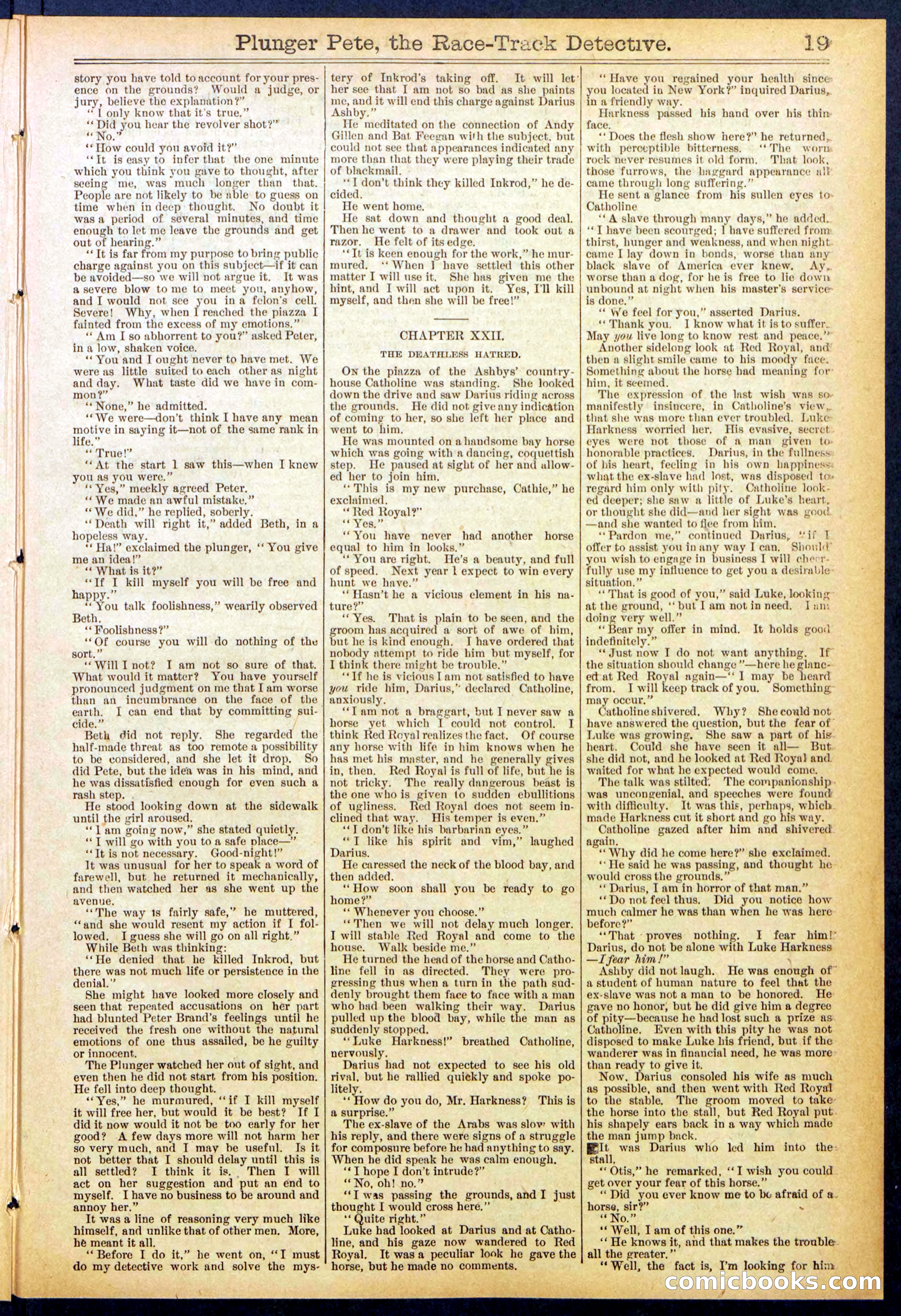 Beadle's New York Dime Library No. 790 — page 19 of 32