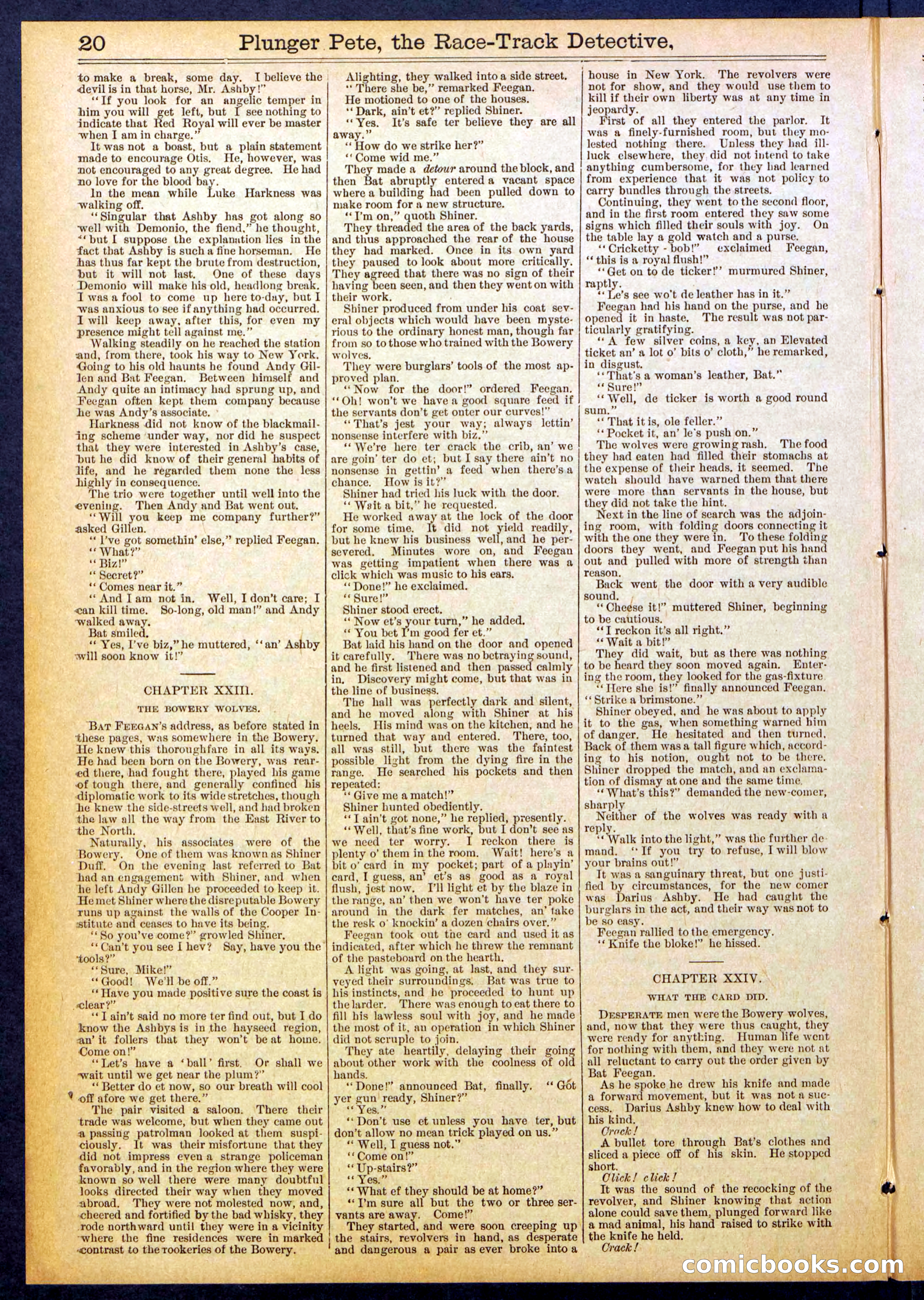 Beadle's New York Dime Library No. 790 — page 20 of 32