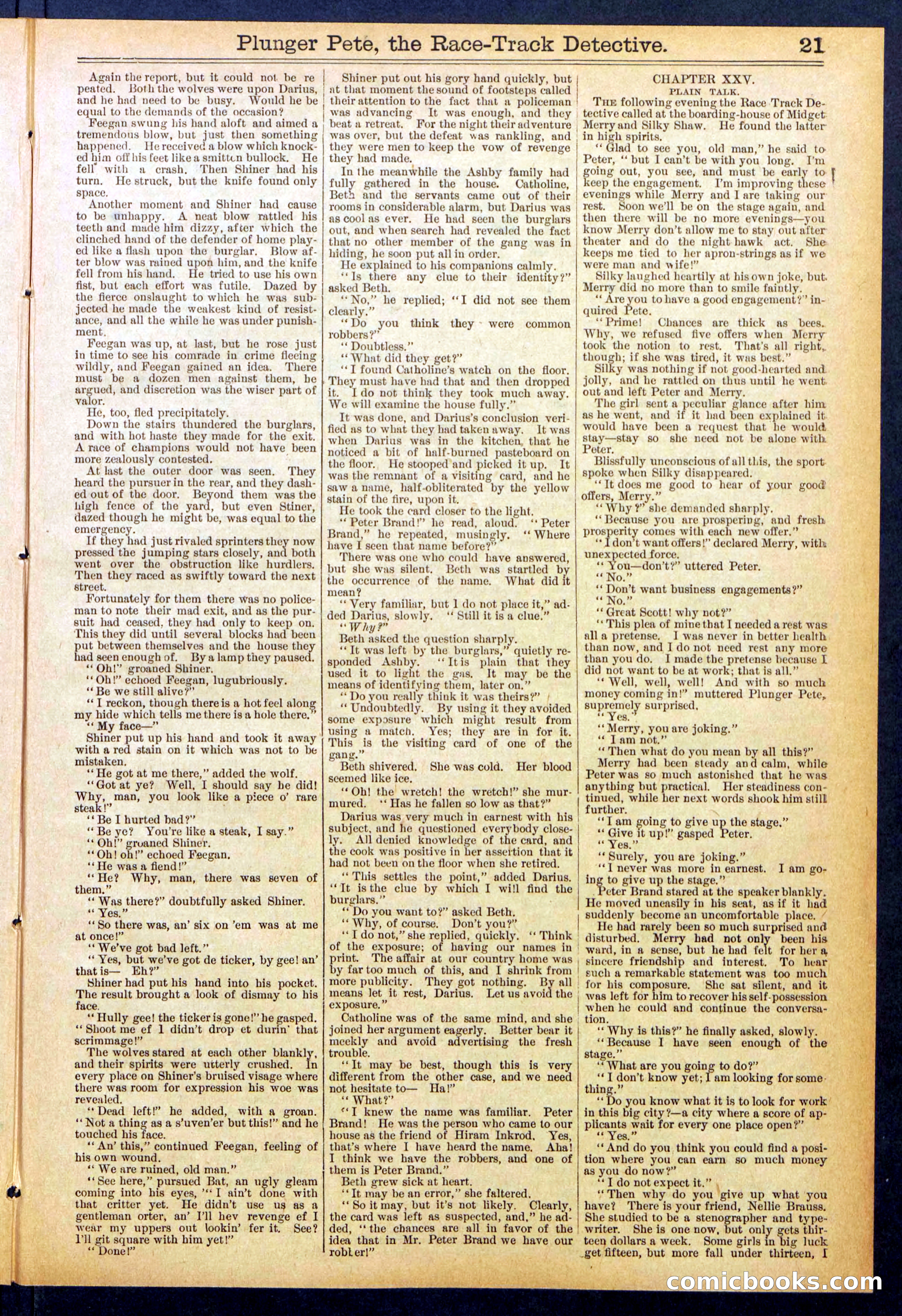 Beadle's New York Dime Library No. 790 — page 21 of 32