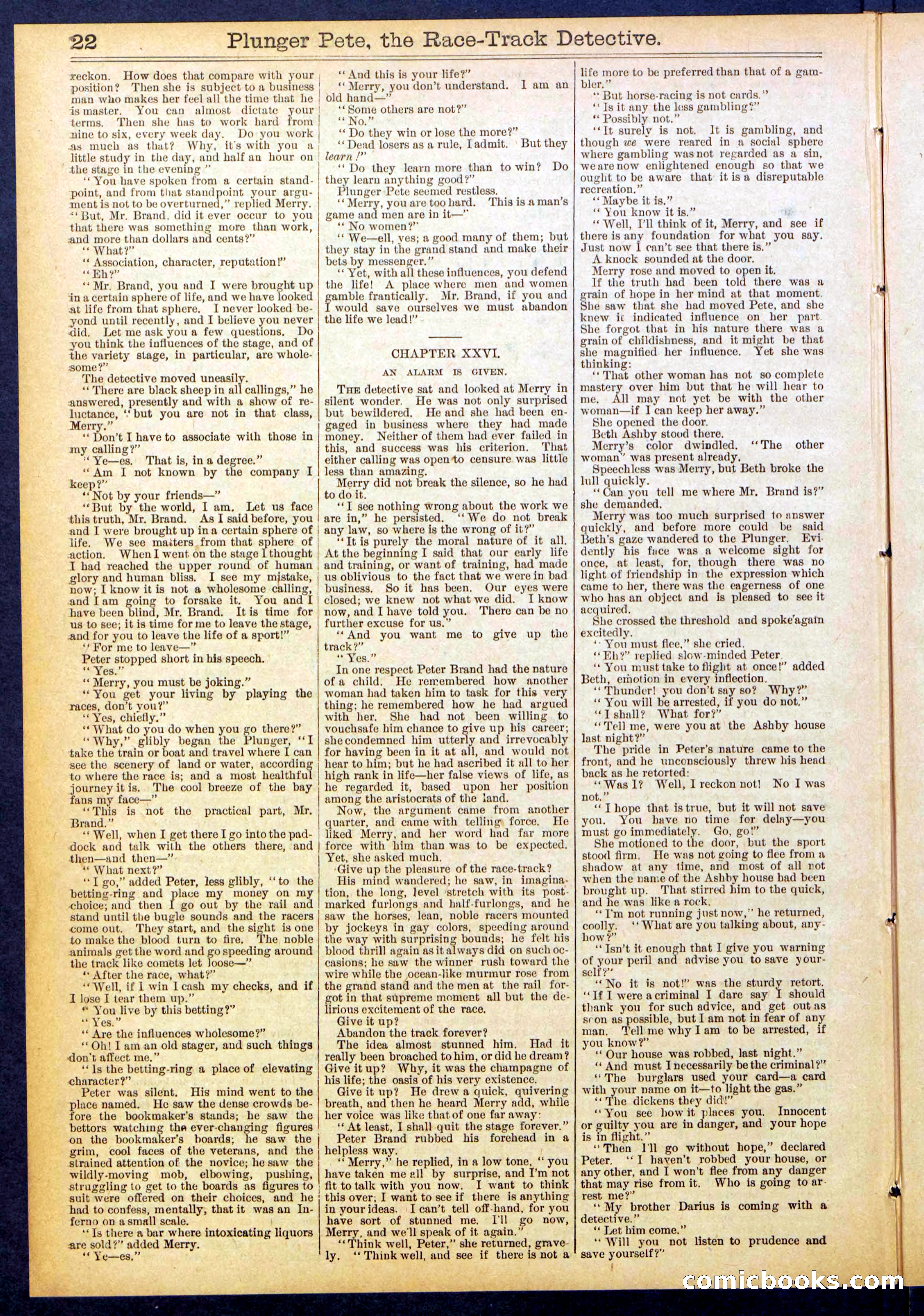 Beadle's New York Dime Library No. 790 — page 22 of 32