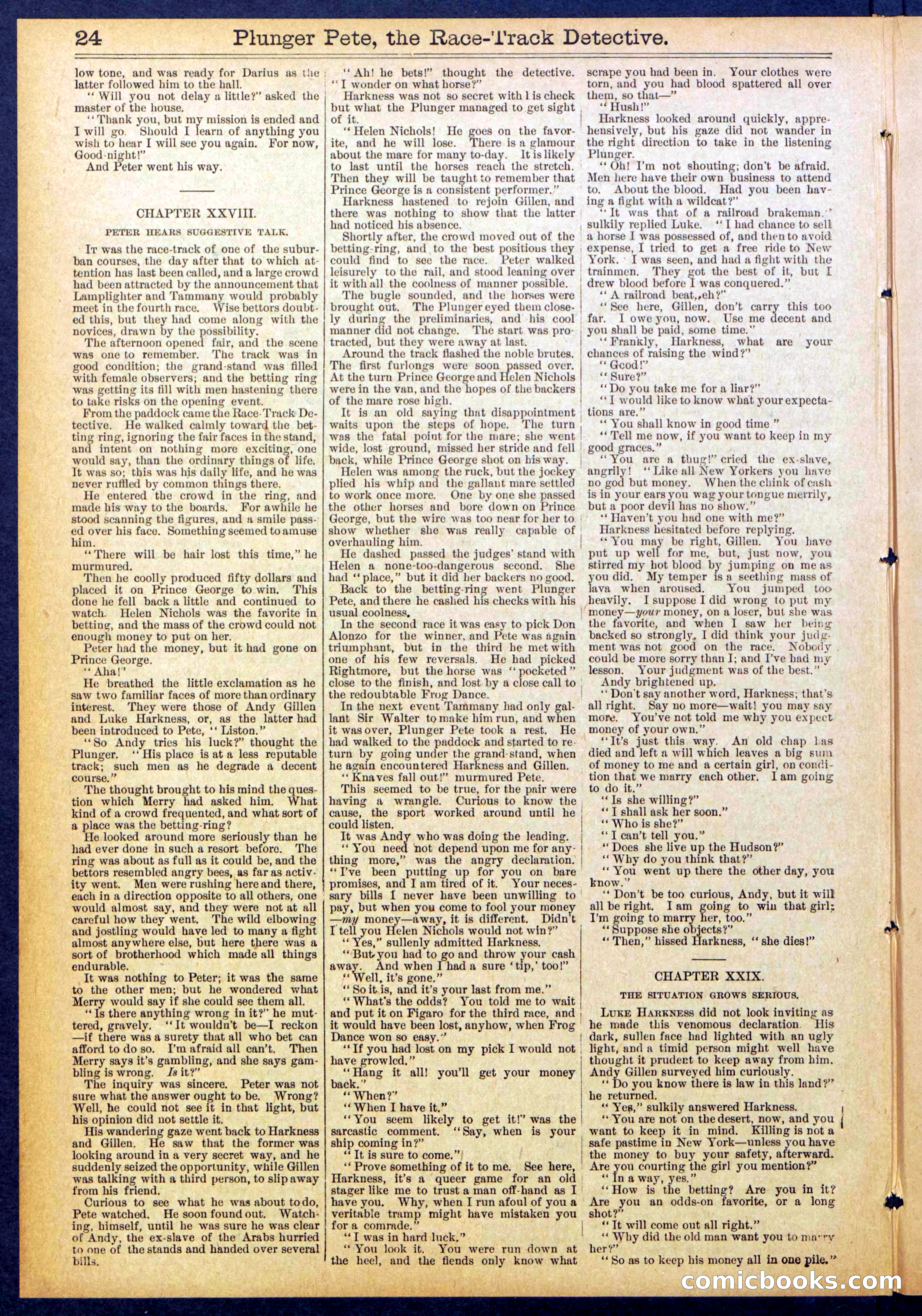 Beadle's New York Dime Library No. 790 — page 24 of 32