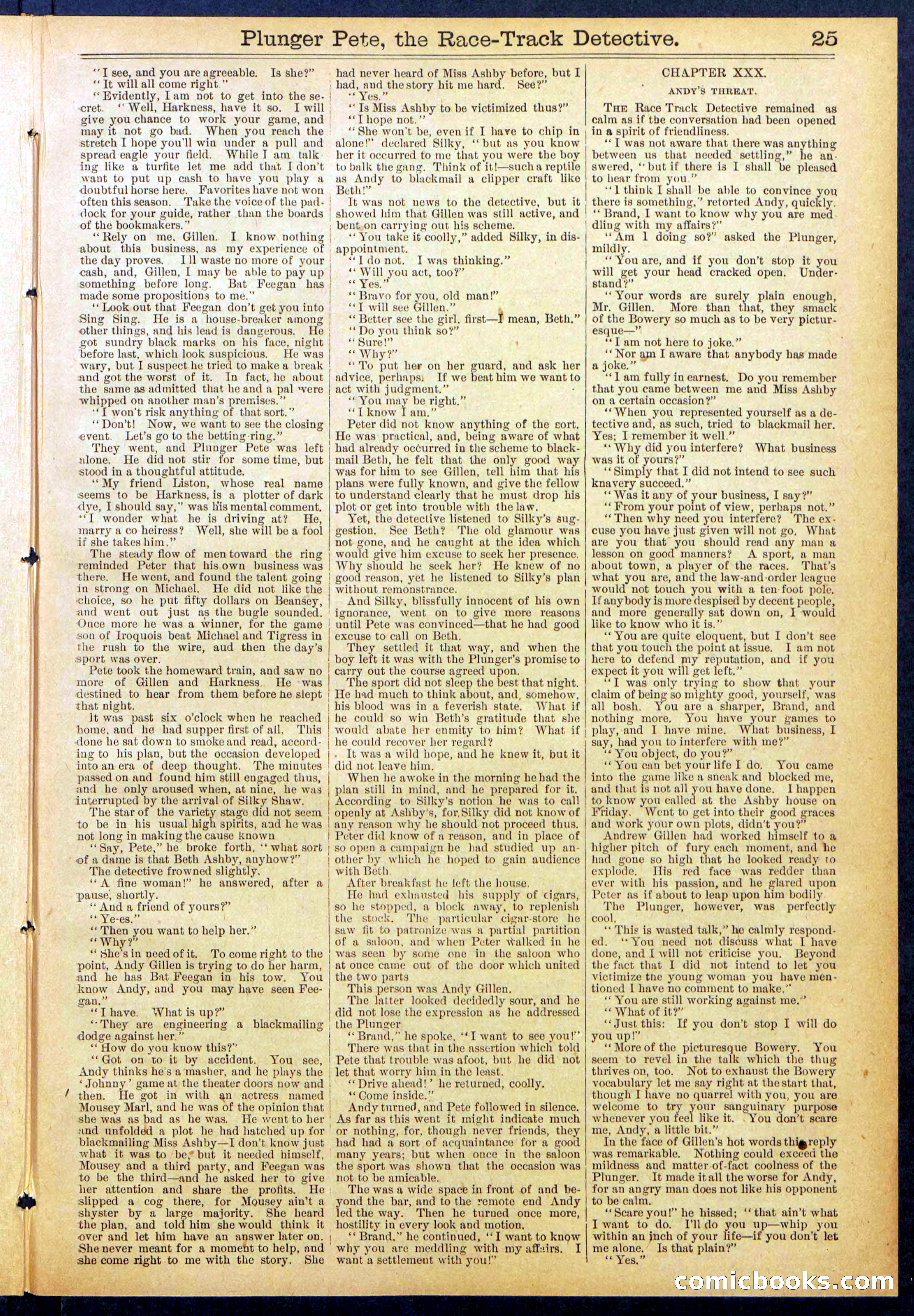 Beadle's New York Dime Library No. 790 — page 25 of 32
