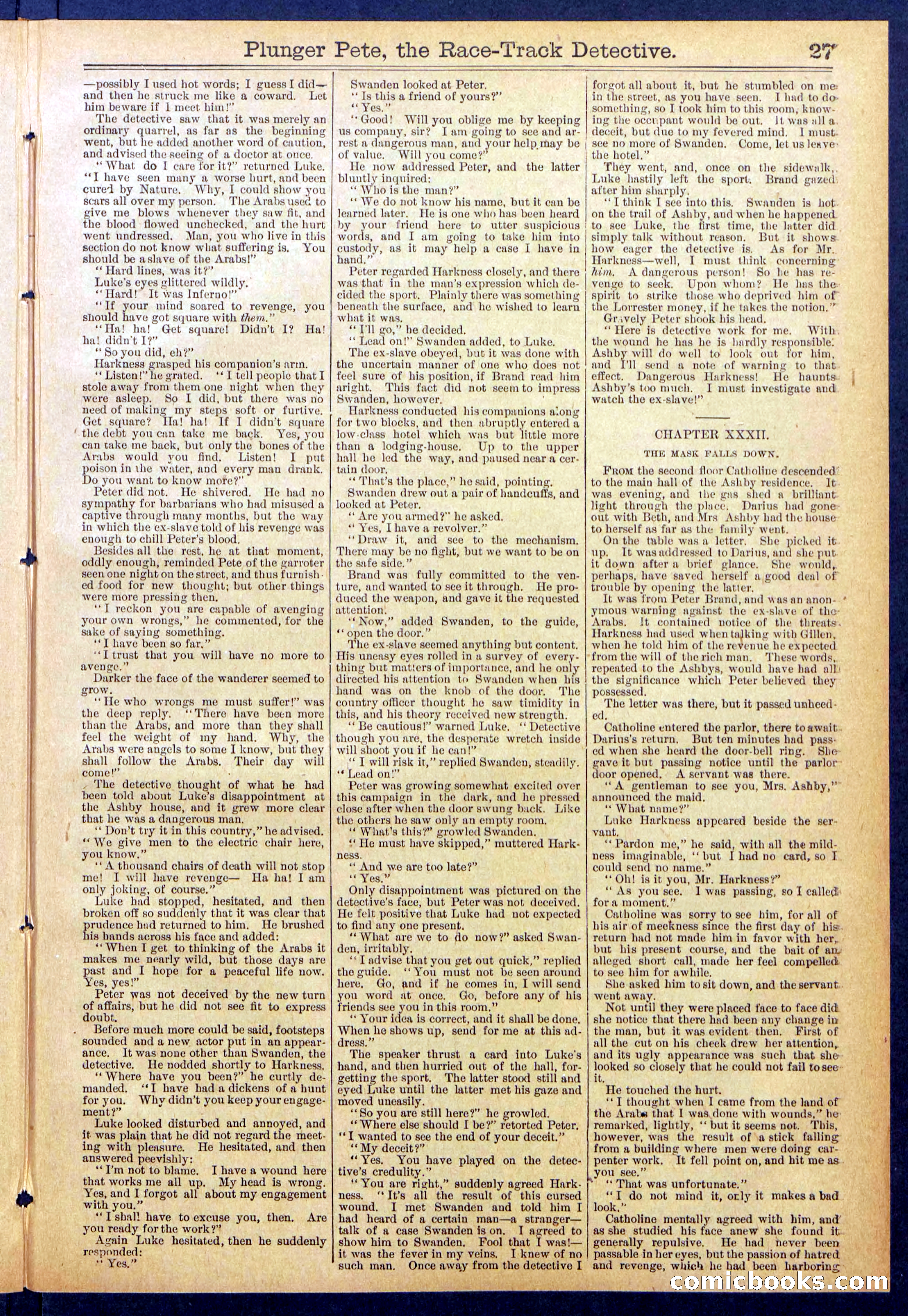 Beadle's New York Dime Library No. 790 — page 27 of 32