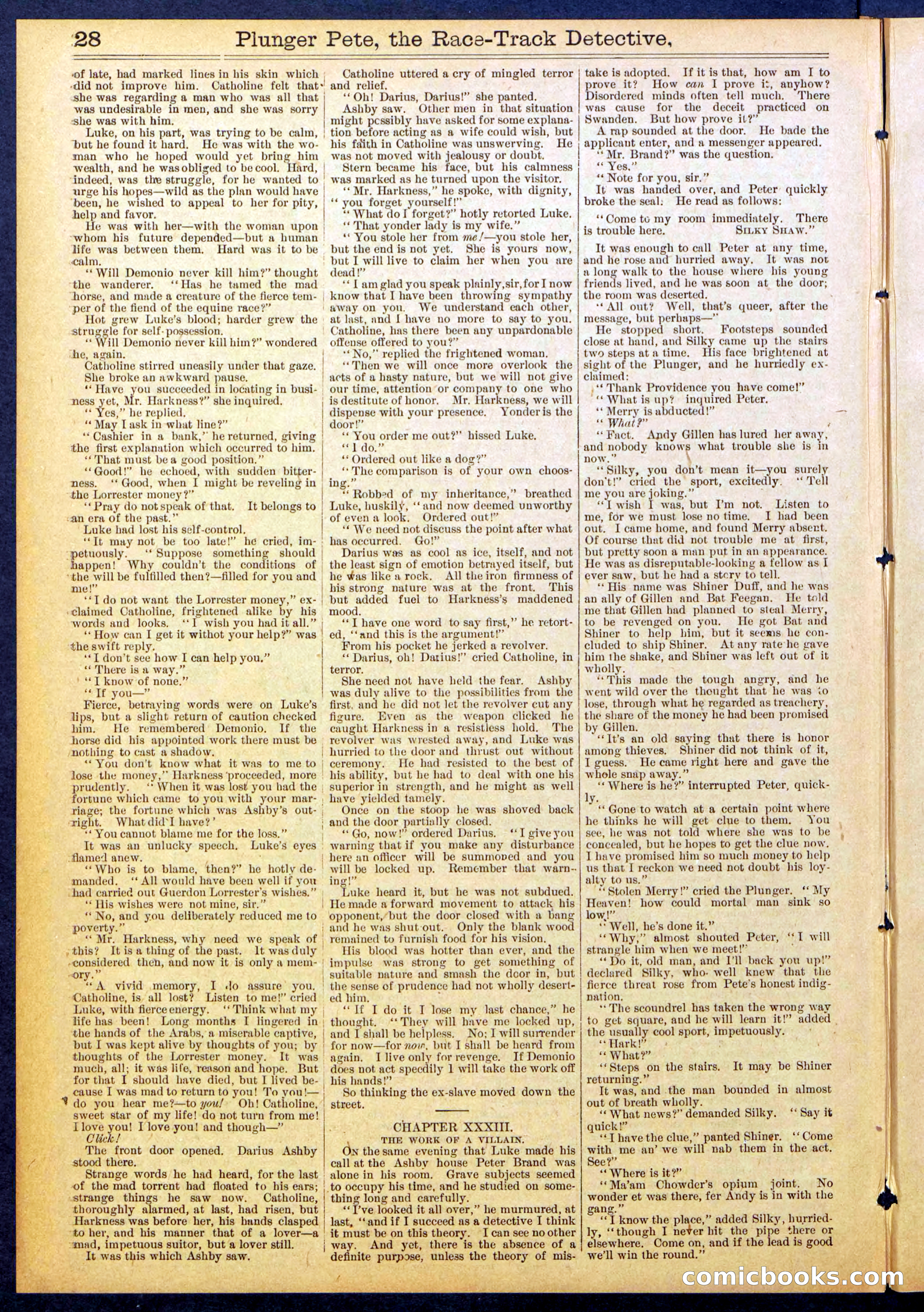 Beadle's New York Dime Library No. 790 — page 28 of 32